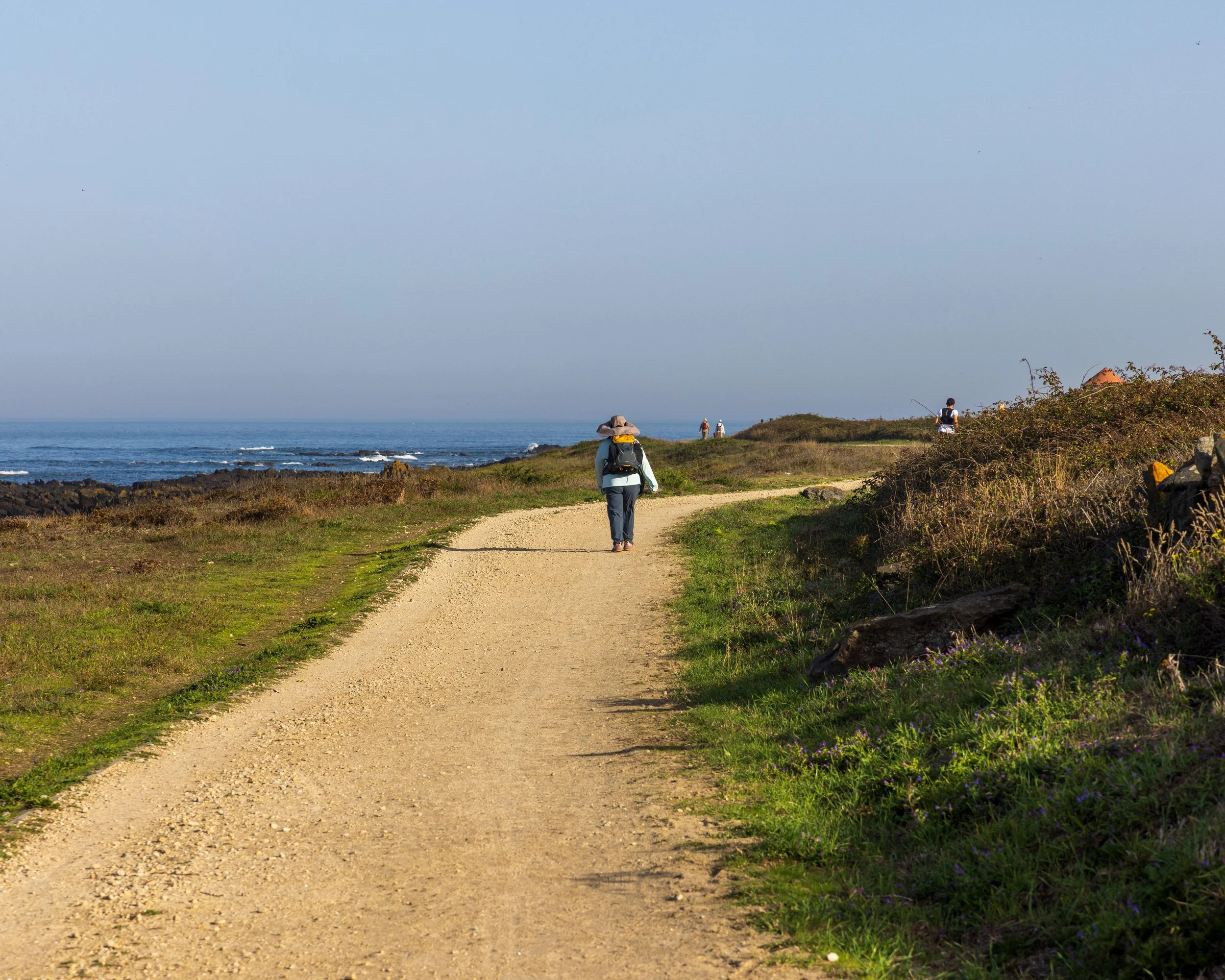 gravel path along the ocean