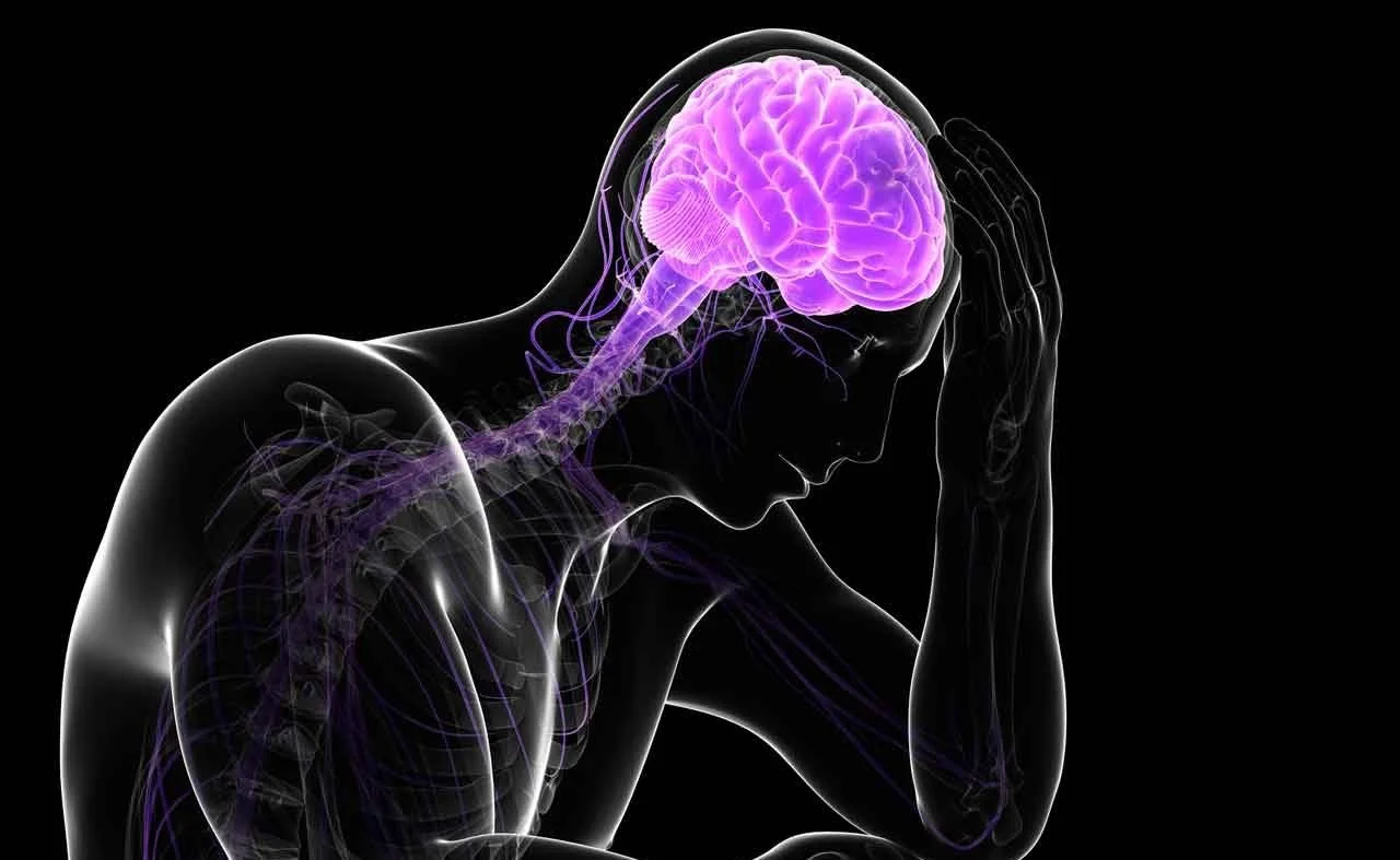 Why stress changes the brain