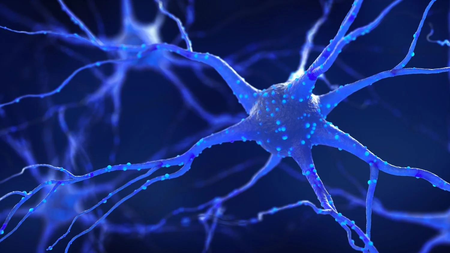 How neurons communicate using electricity and chemistry