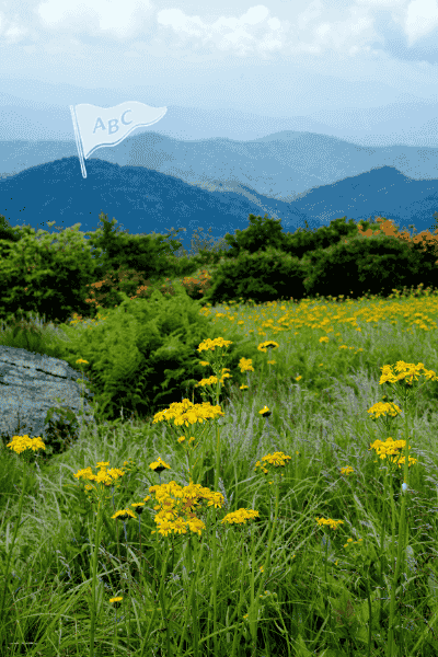 High-End Branding for Home Services: How an Editorial Identity Wins High-Value Retainer Clients