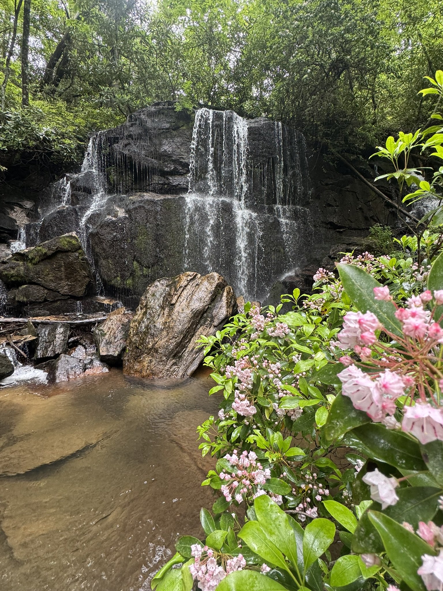 Signal vs. Noise: Why Your Story is the Only Thing That Cuts Through