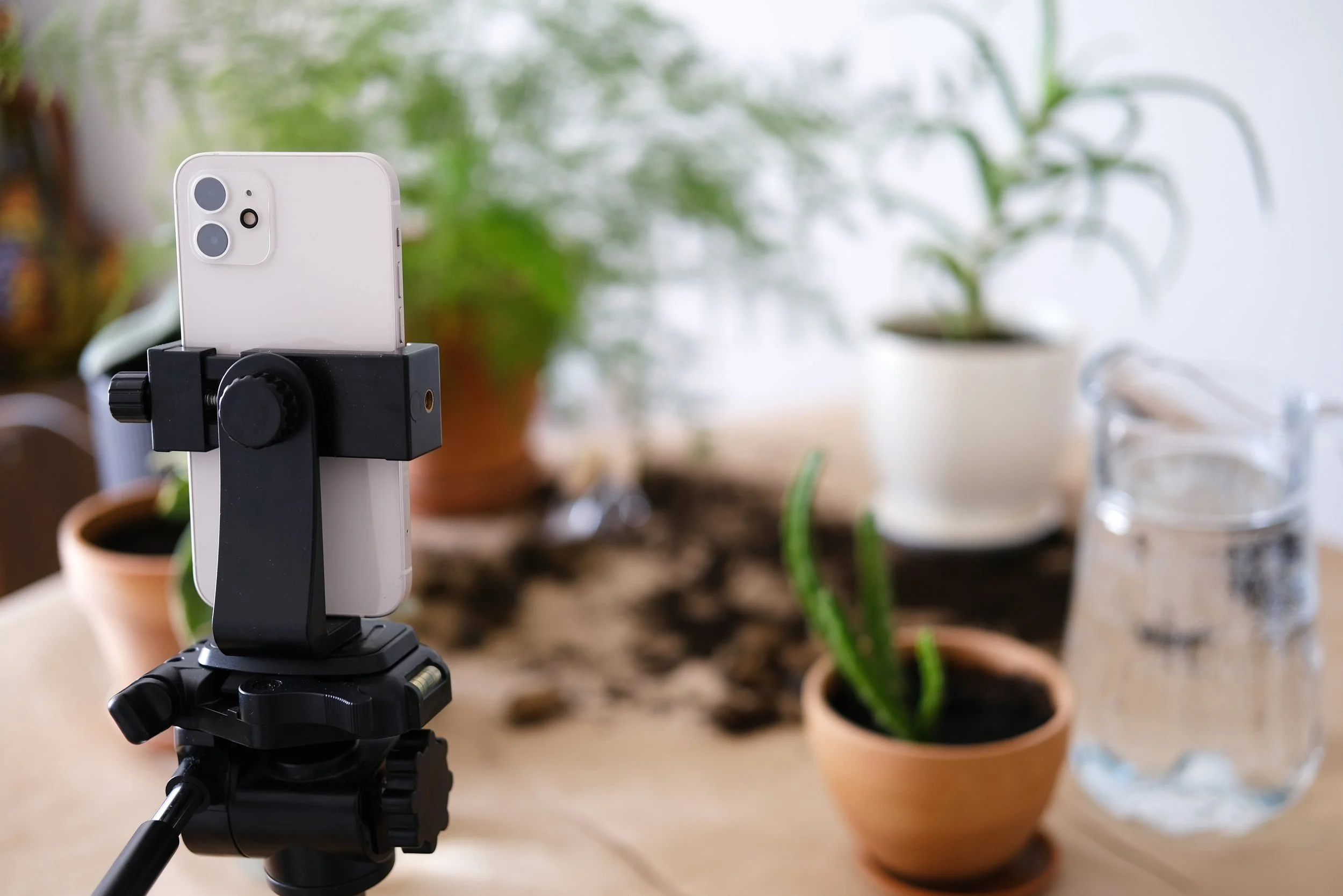 A smartphone mounted on a tripod in front of houseplants and a glass of water on a wooden surface.