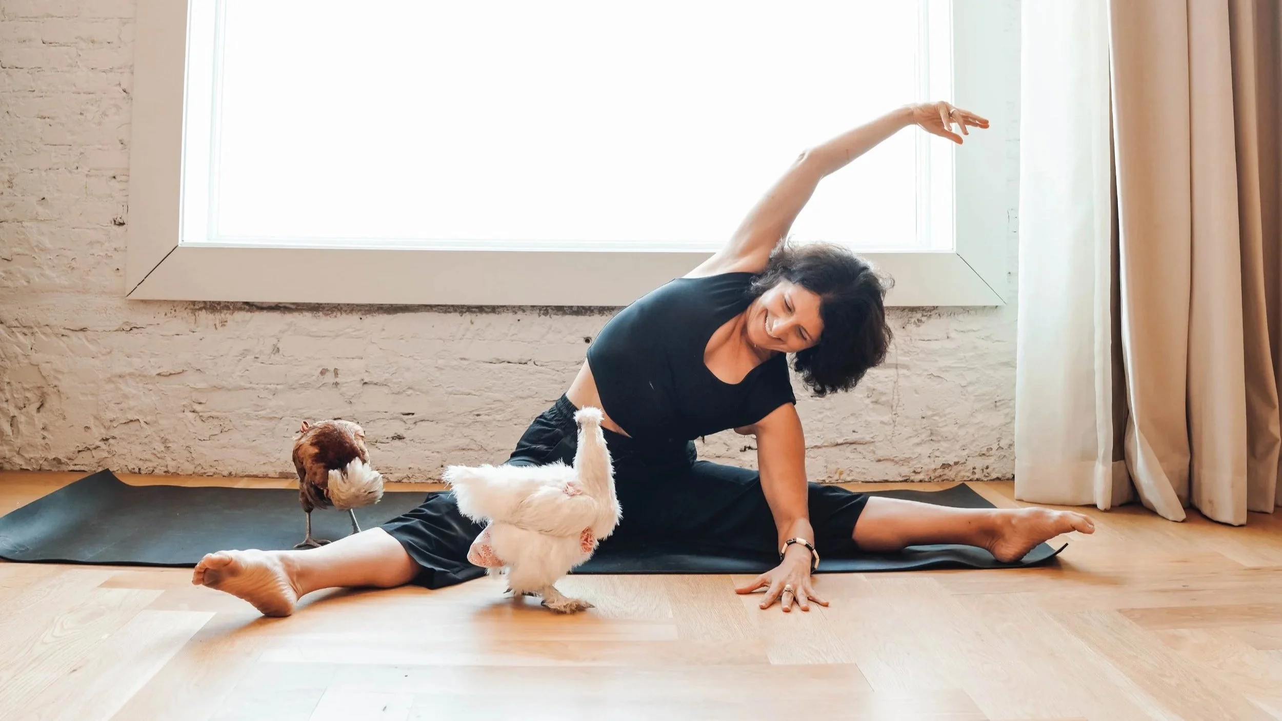 Chicken yoga at Hotel Haya