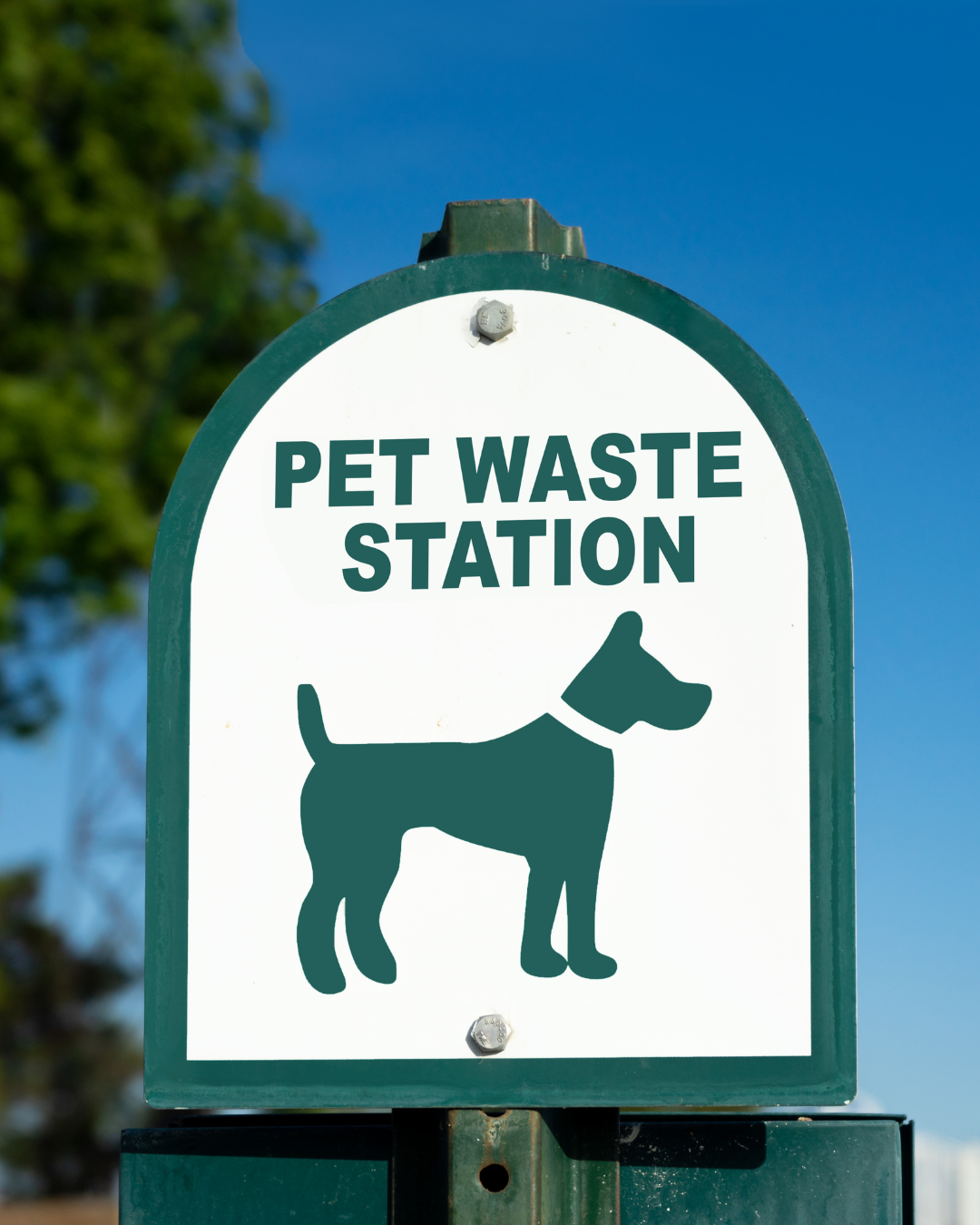 Sign that reads "Pet Waste Station" with silhouette of a dog