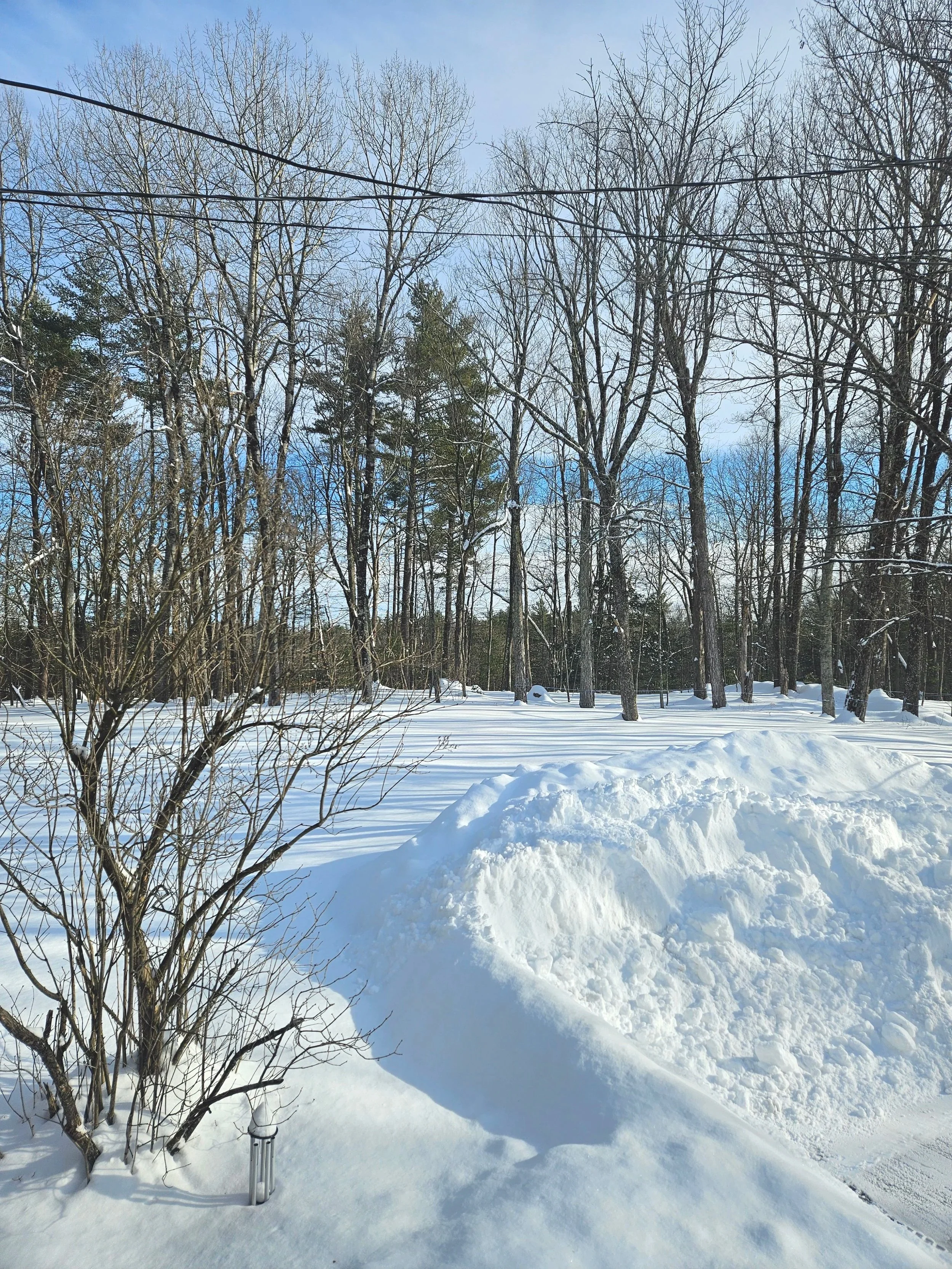 Snowmageddon 2026 - what’s it got to do with low waste?