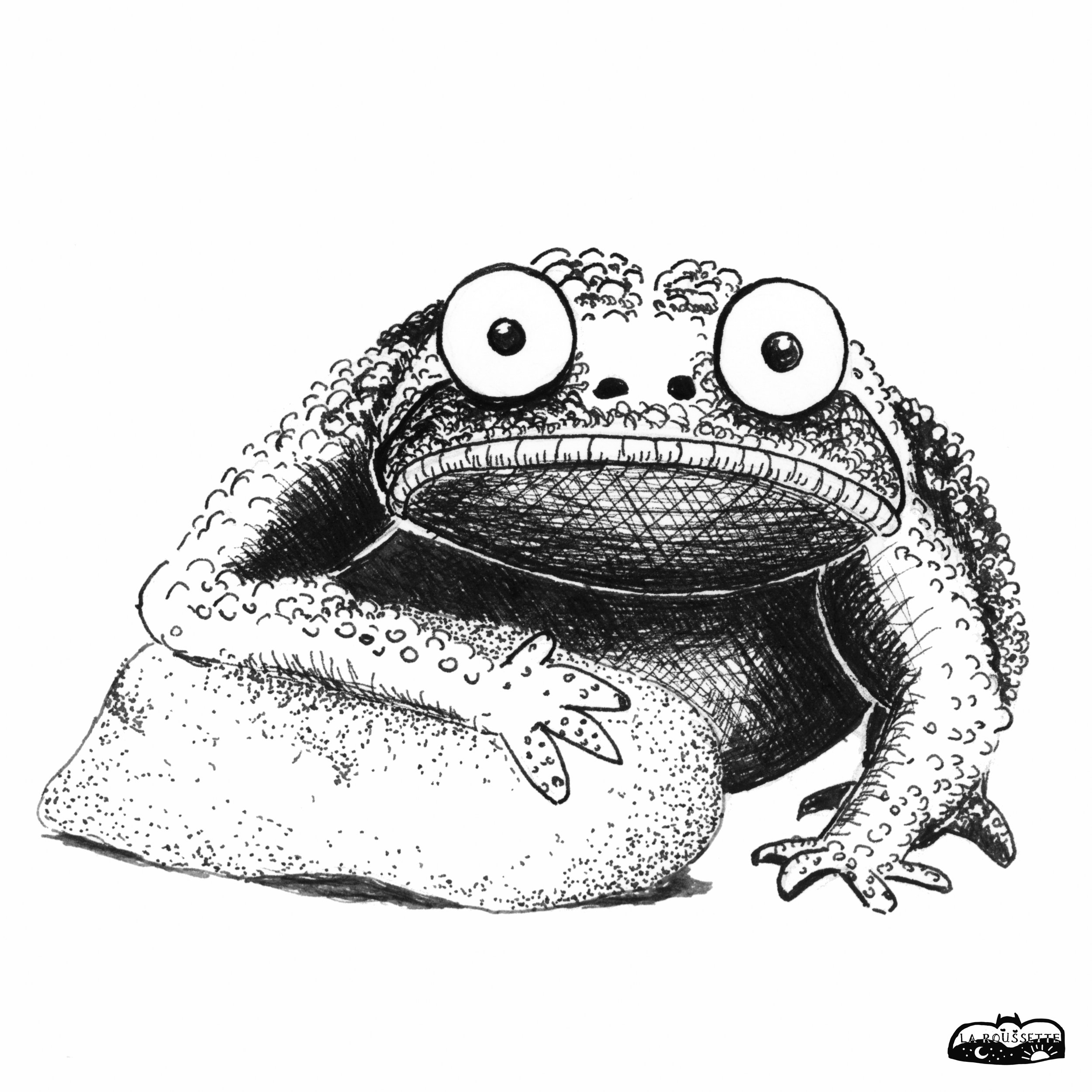 Kröterich sw a.jpg