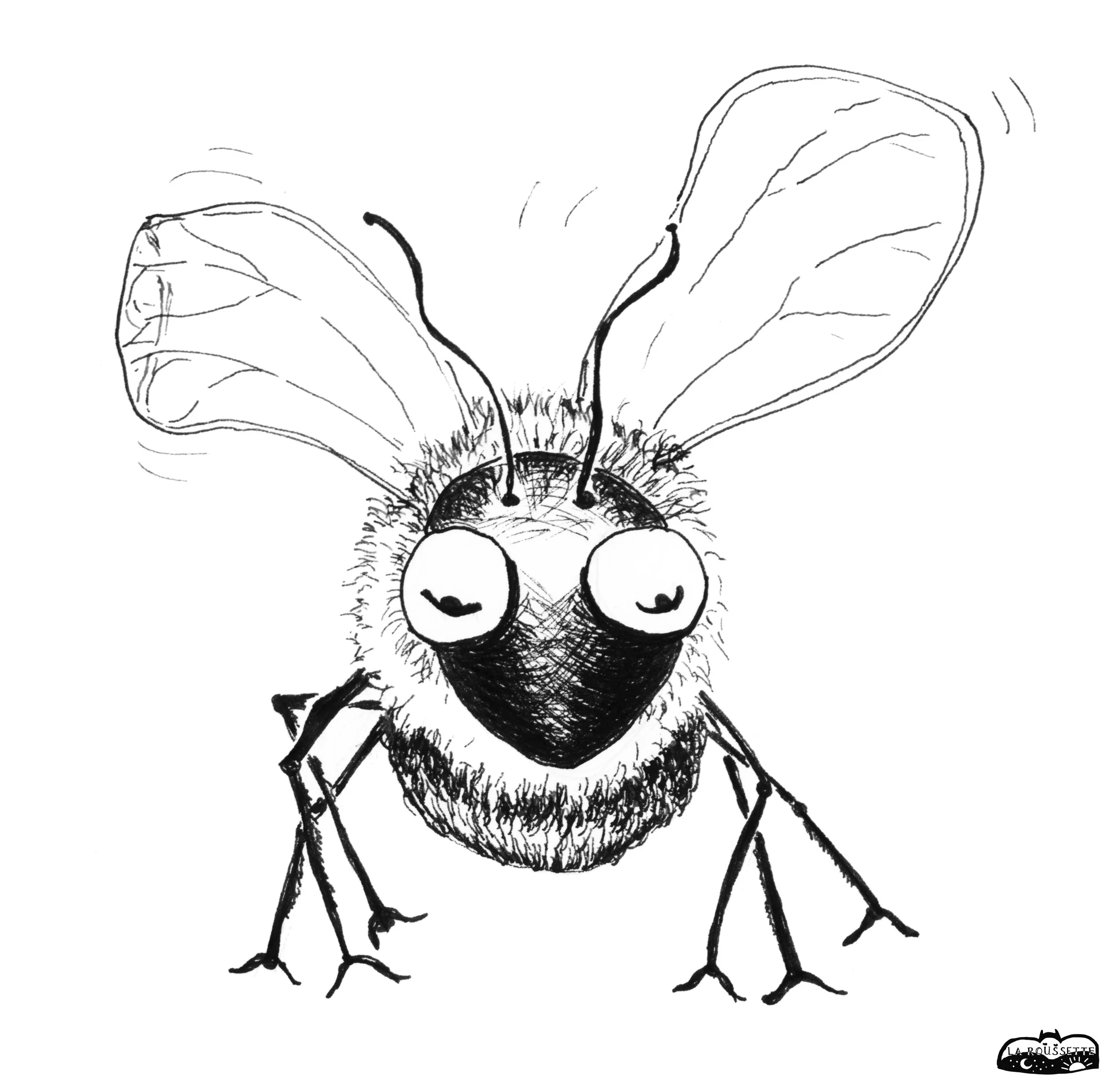 Wildbienen 1 sw a.jpg