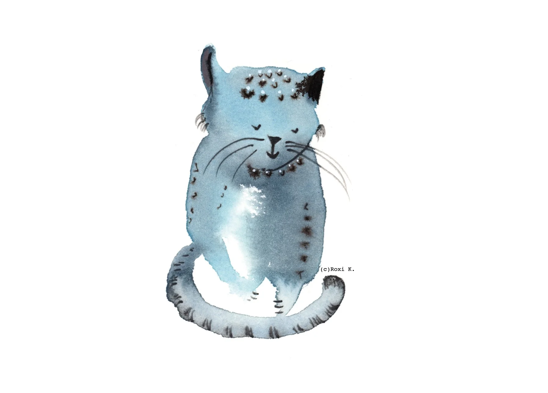 Cat 2.jpg