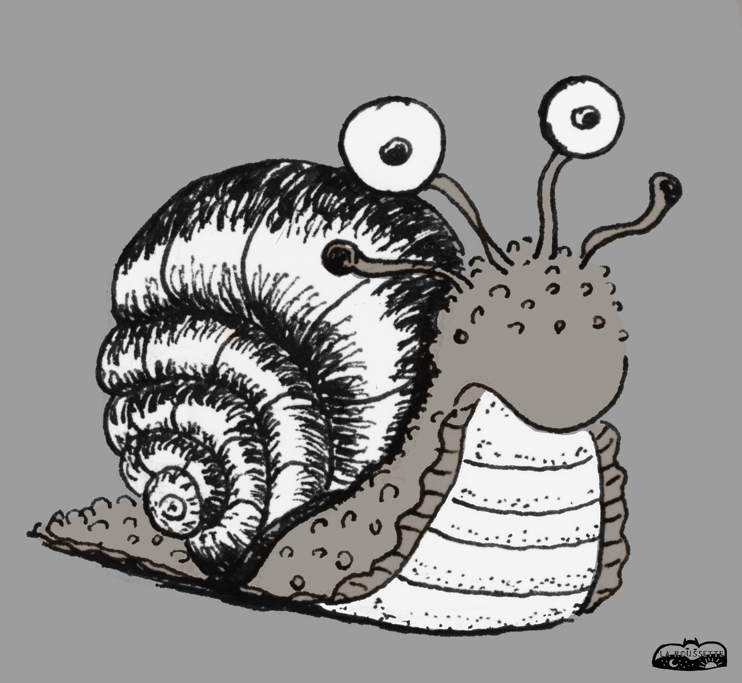 Zauberschnecke-sw.jpg