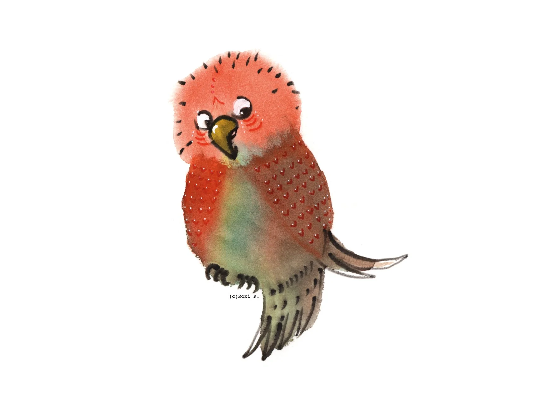 Bird 6.jpg