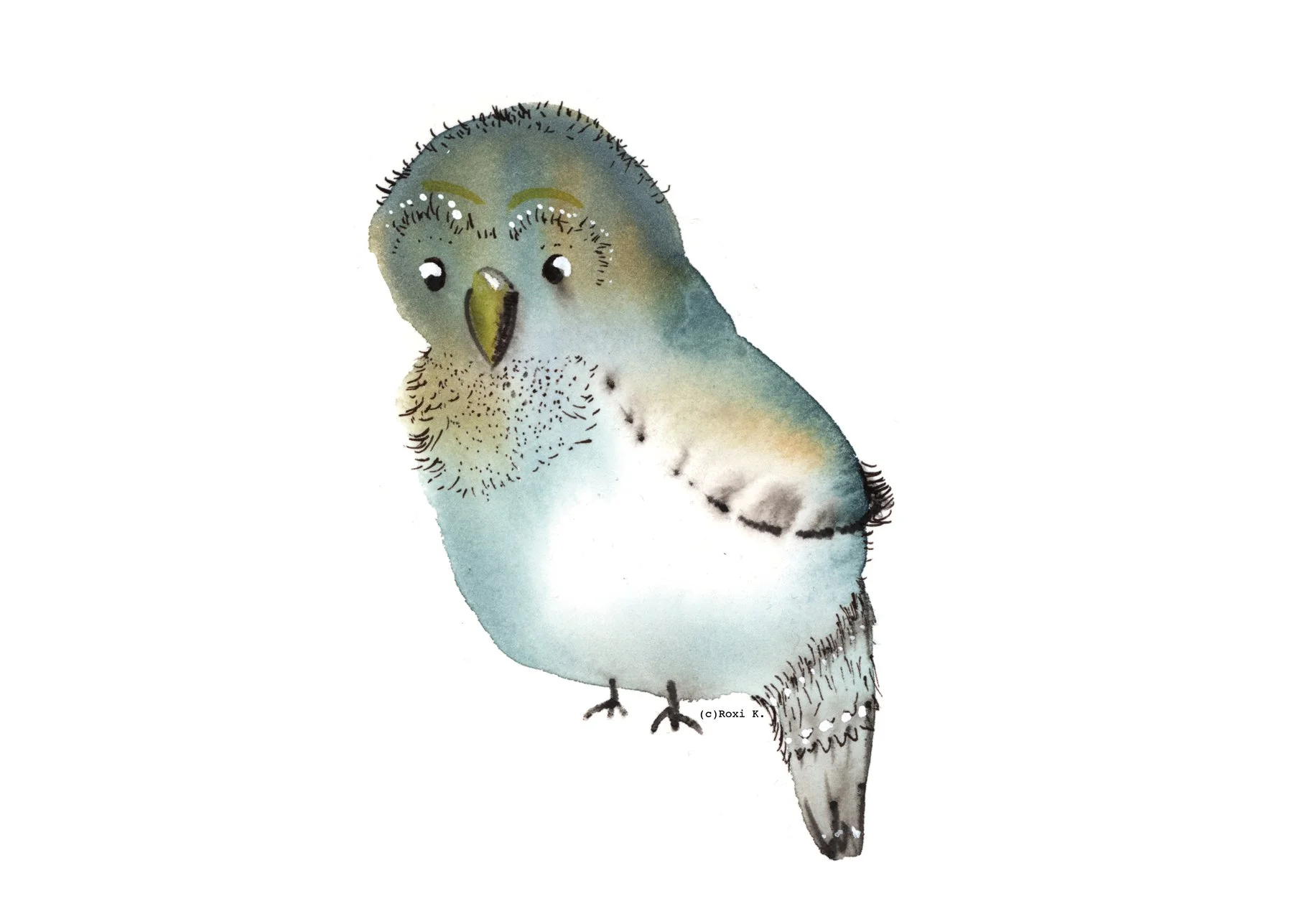 Bird 4.jpg