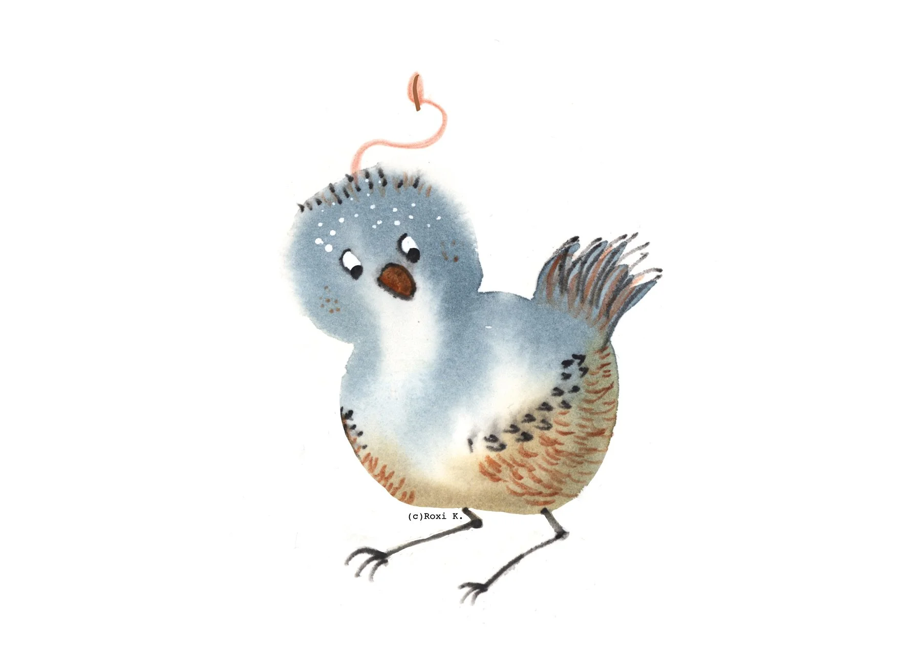 Bird 1.jpg