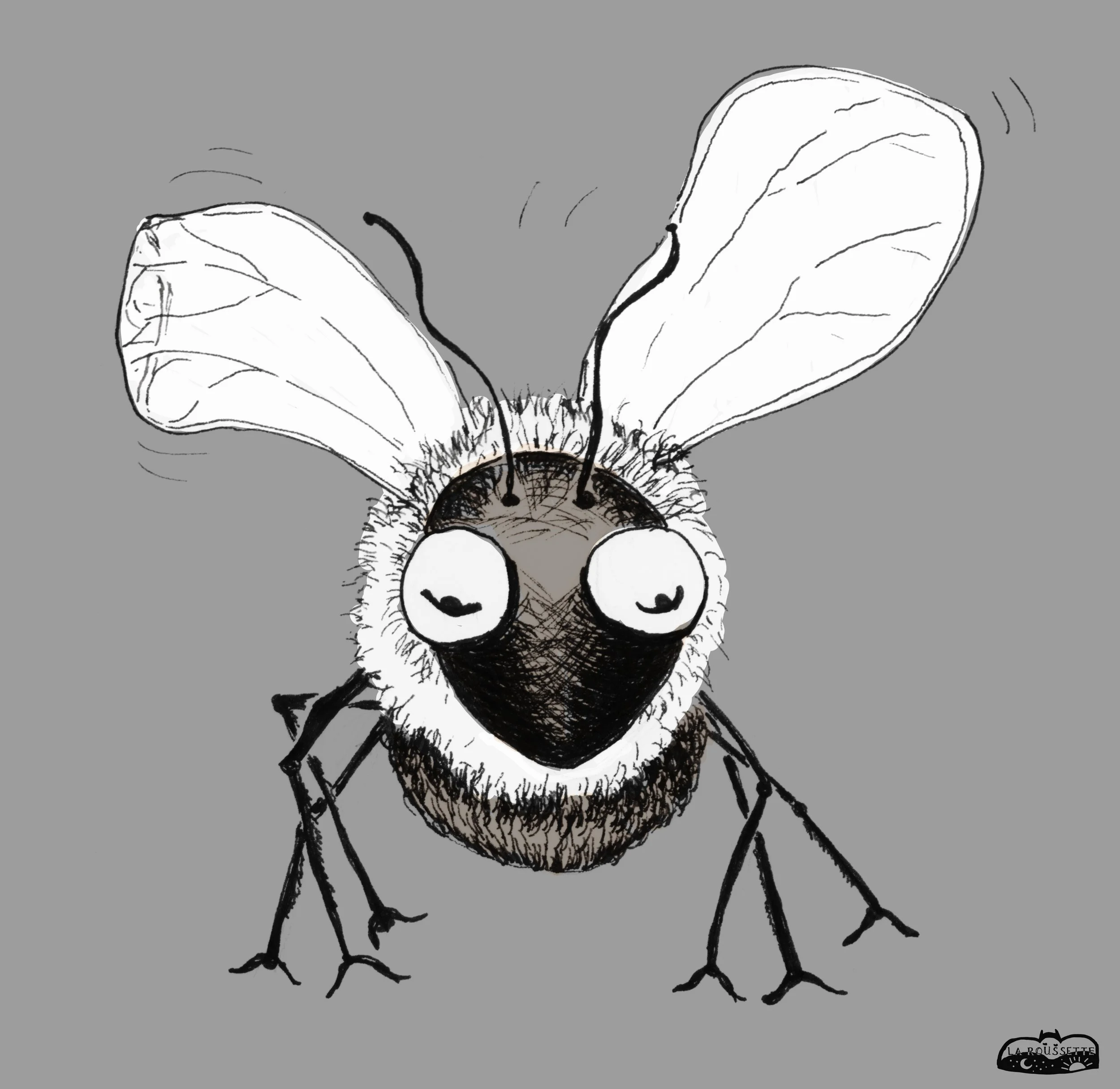 Wildbienen 1 sw.jpg