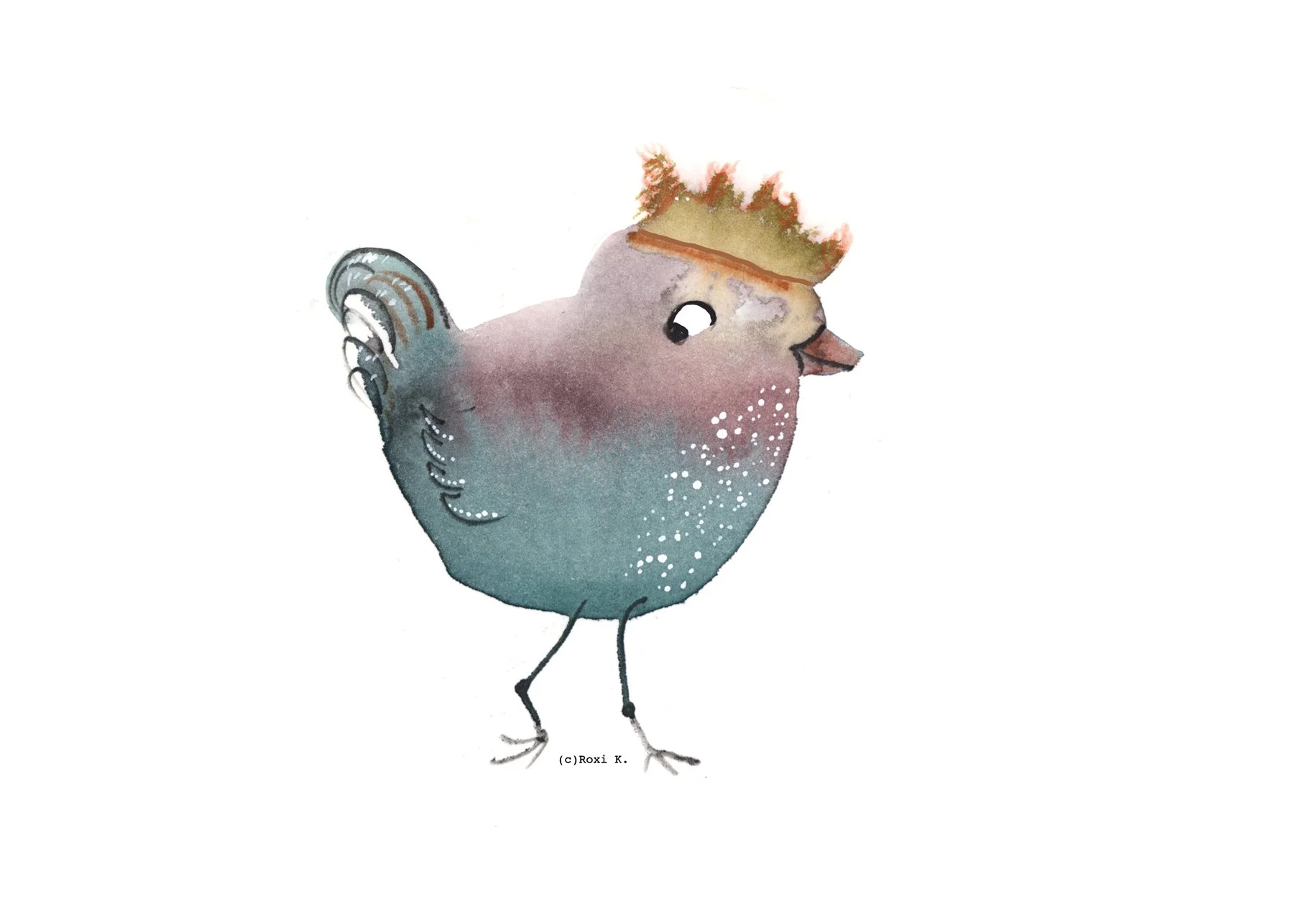 Bird 10.jpg