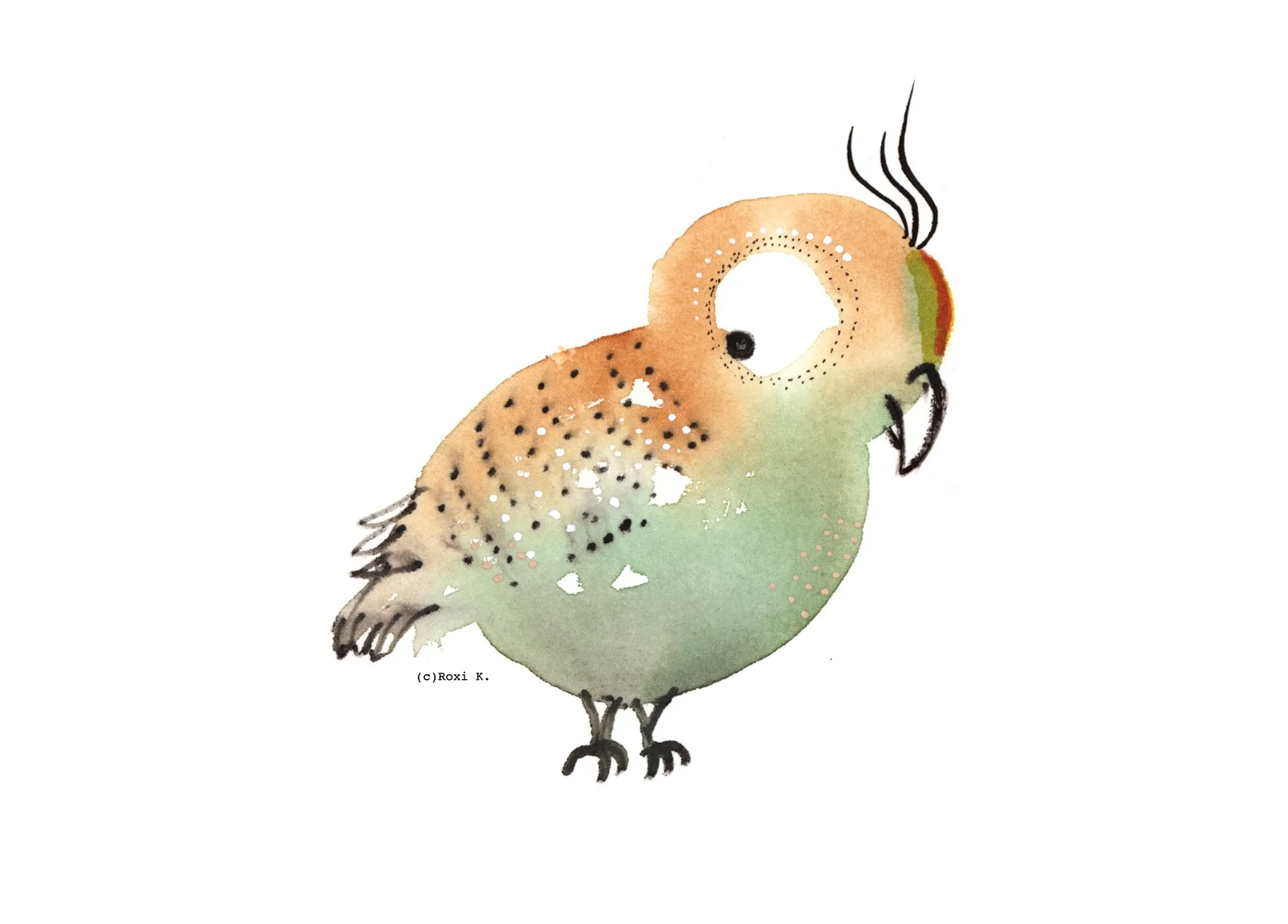 Bird 5.jpg