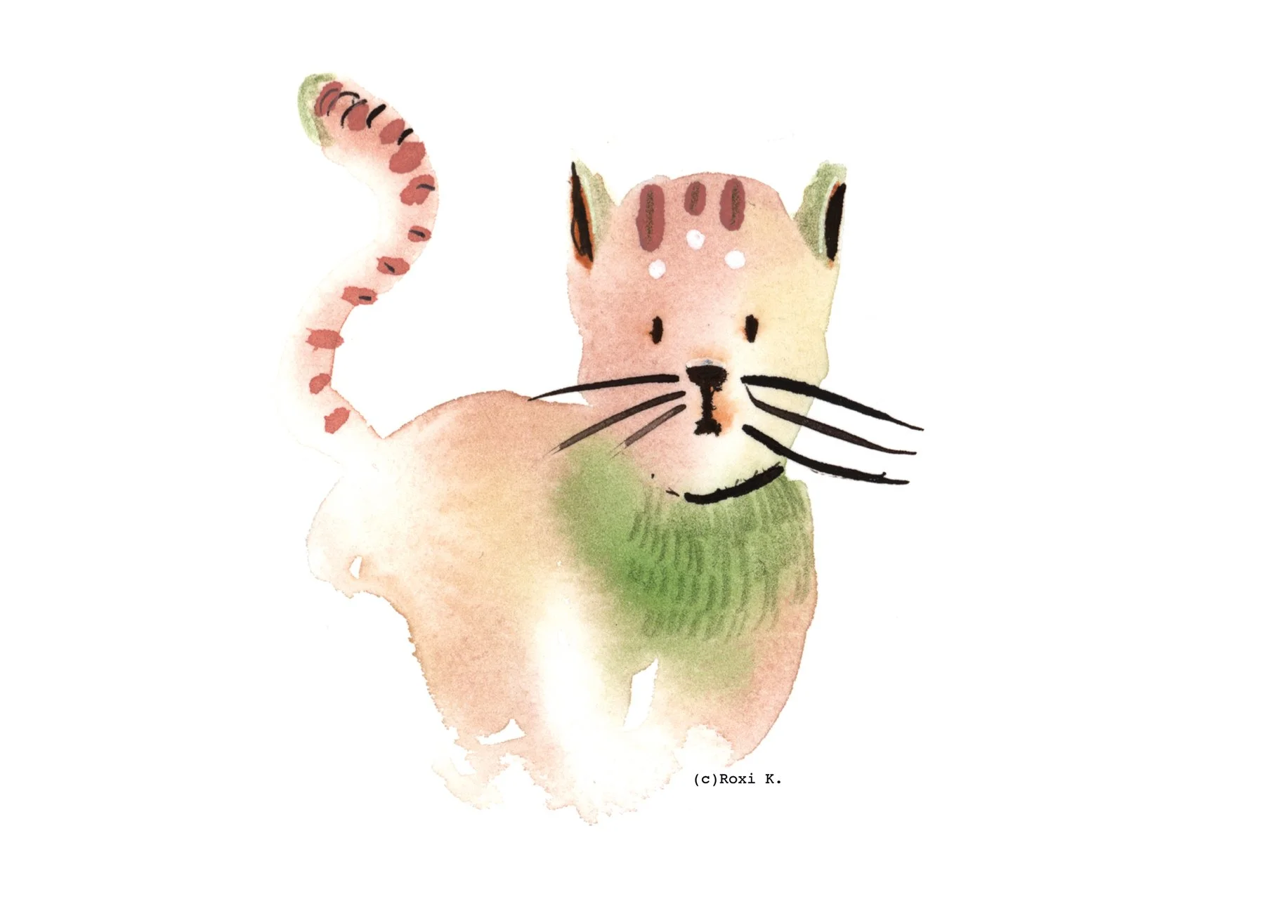 Cat 5.jpg