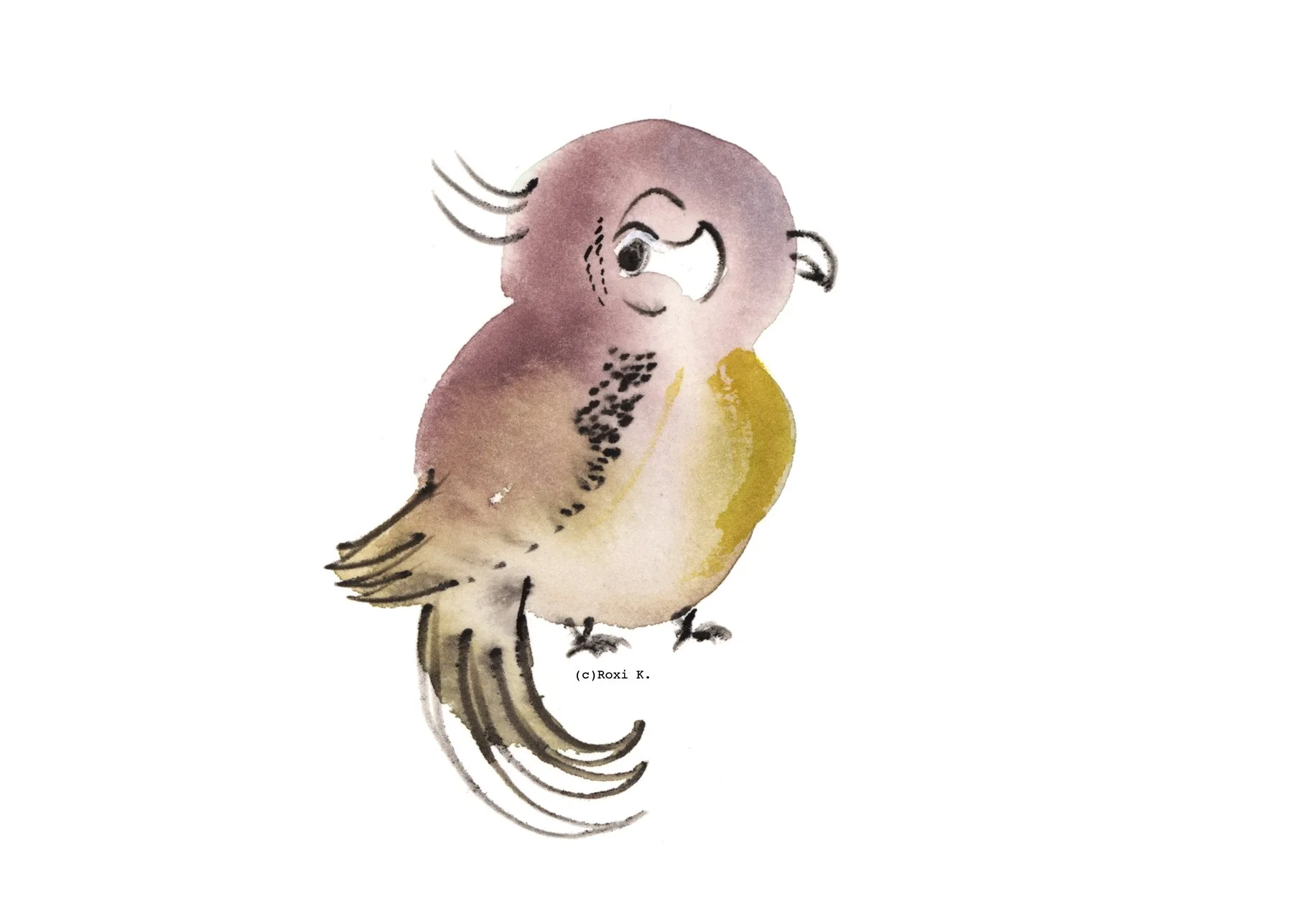 Bird 3.jpg