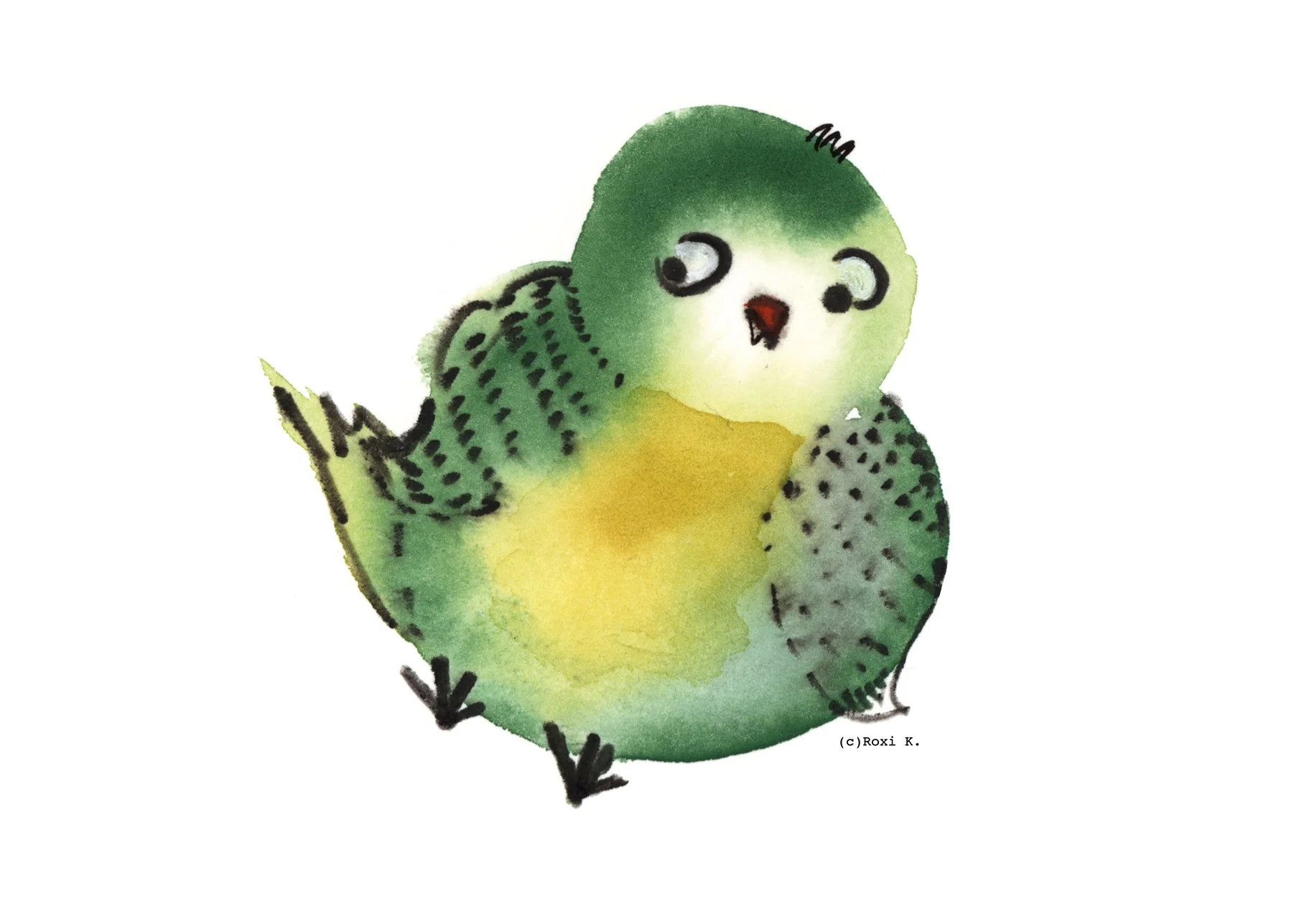 Bird 2.jpg