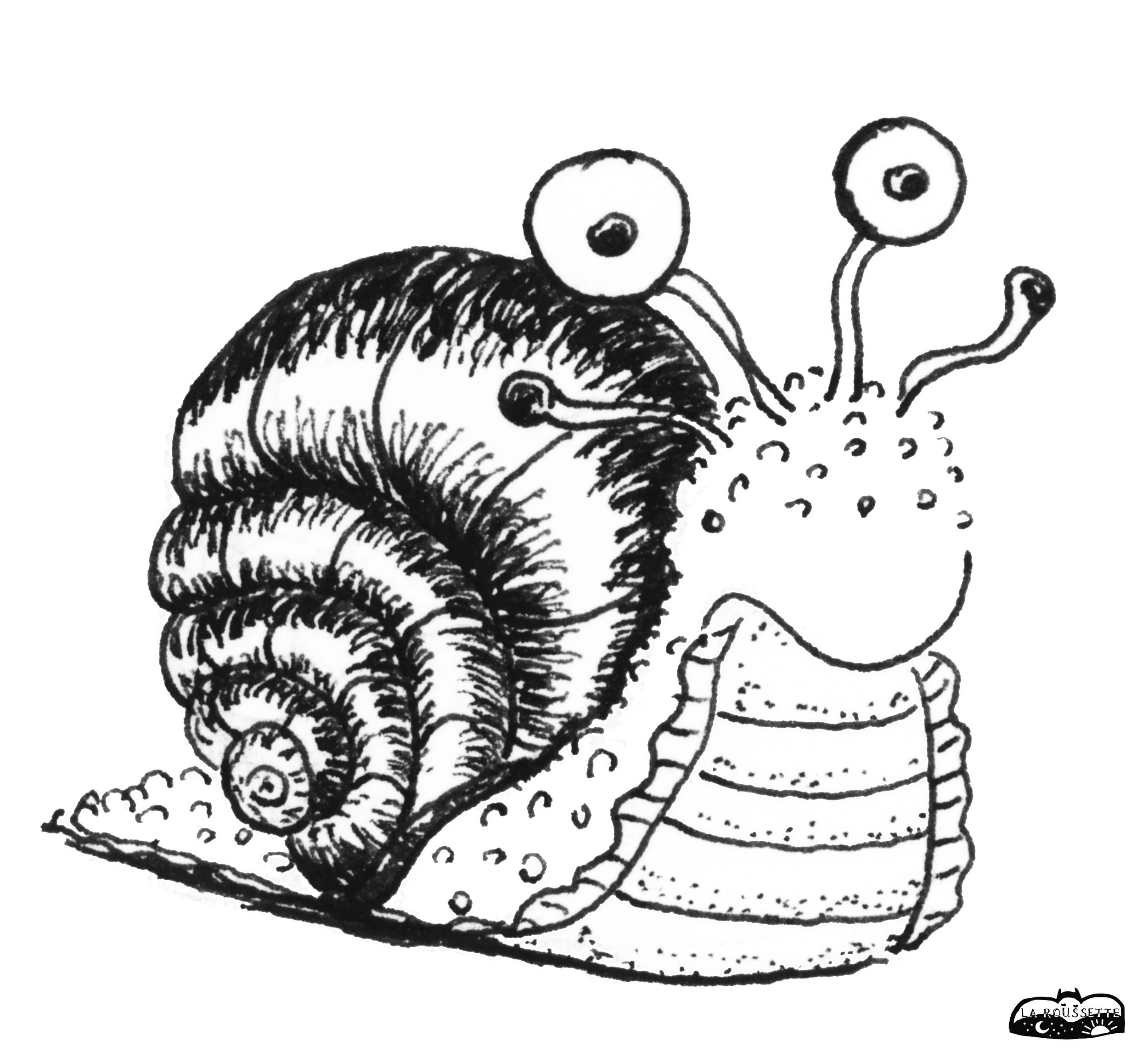 Zauberschnecke-sw a.jpg