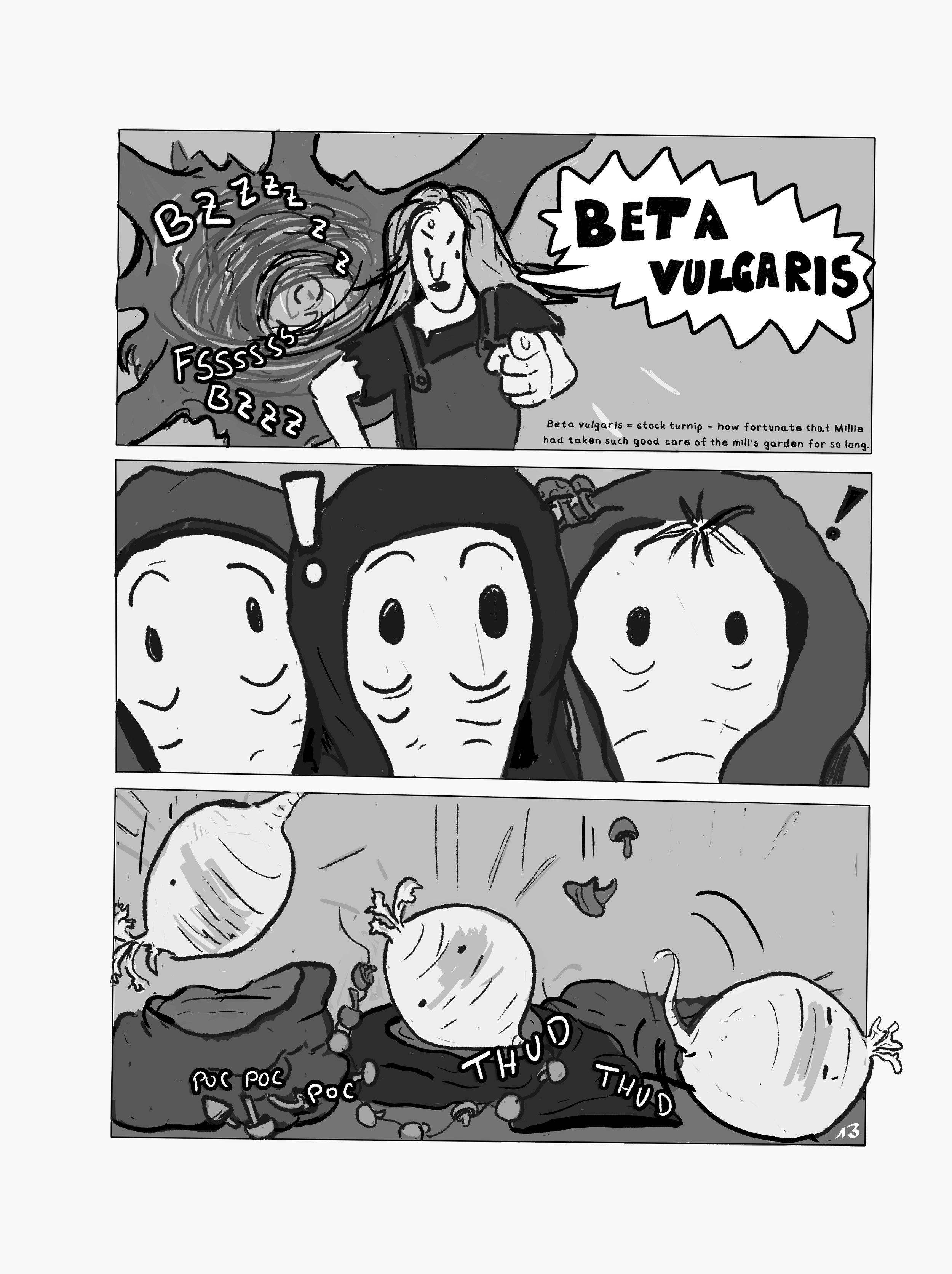 page 13 (ink bw lettered en).jpg