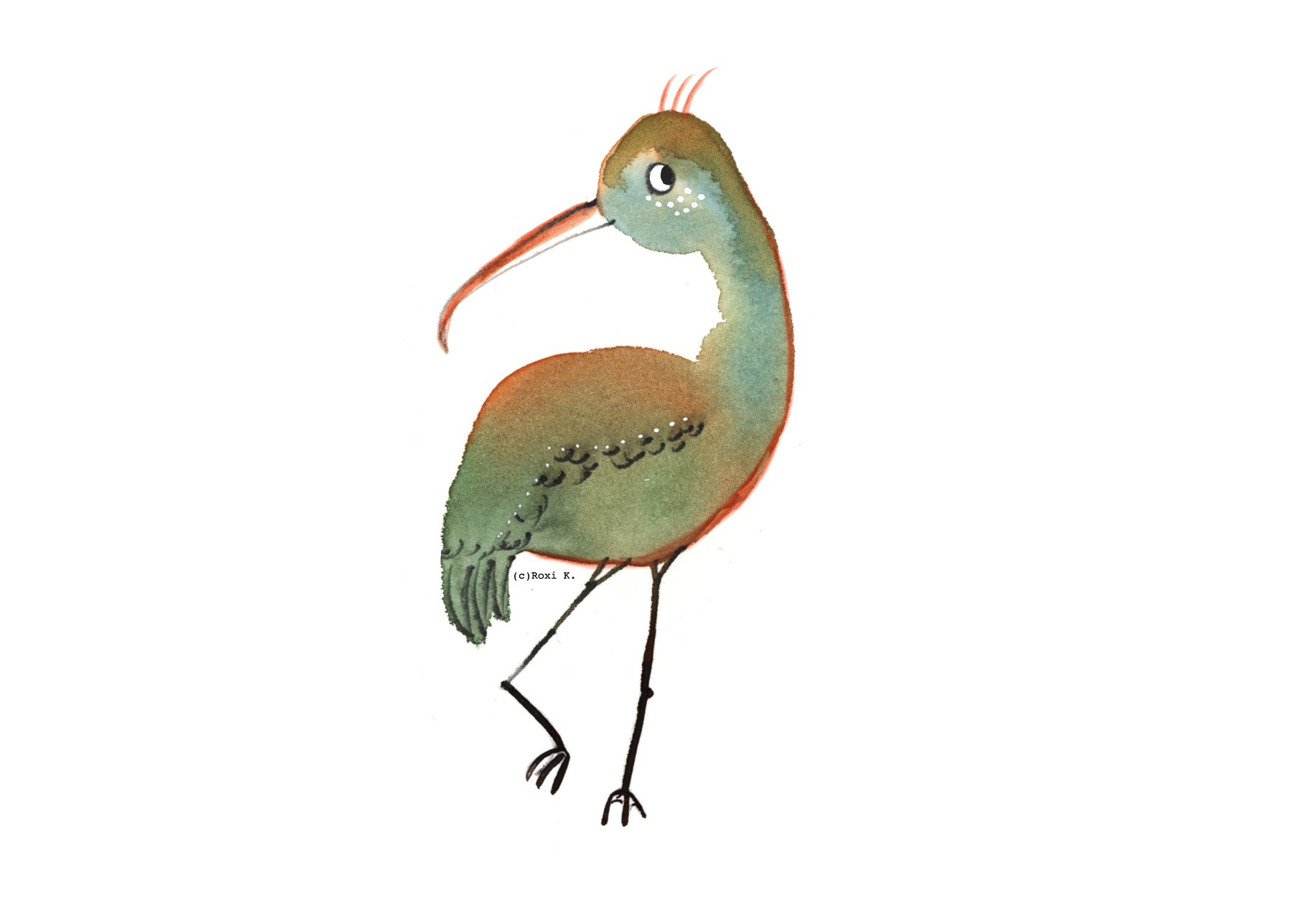 Bird 7.jpg