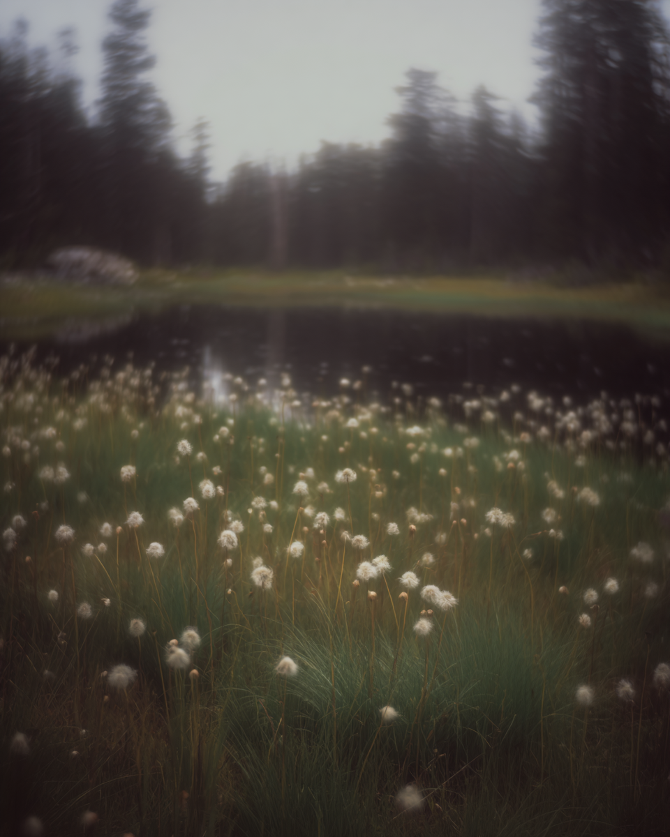 IMG_4051.png