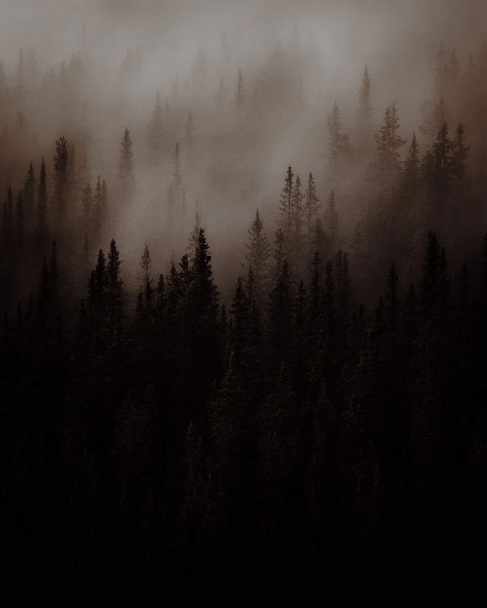 0A9F6CCA-4AF2-4F46-8C37-7FD0B0FC6B7F.jpeg
