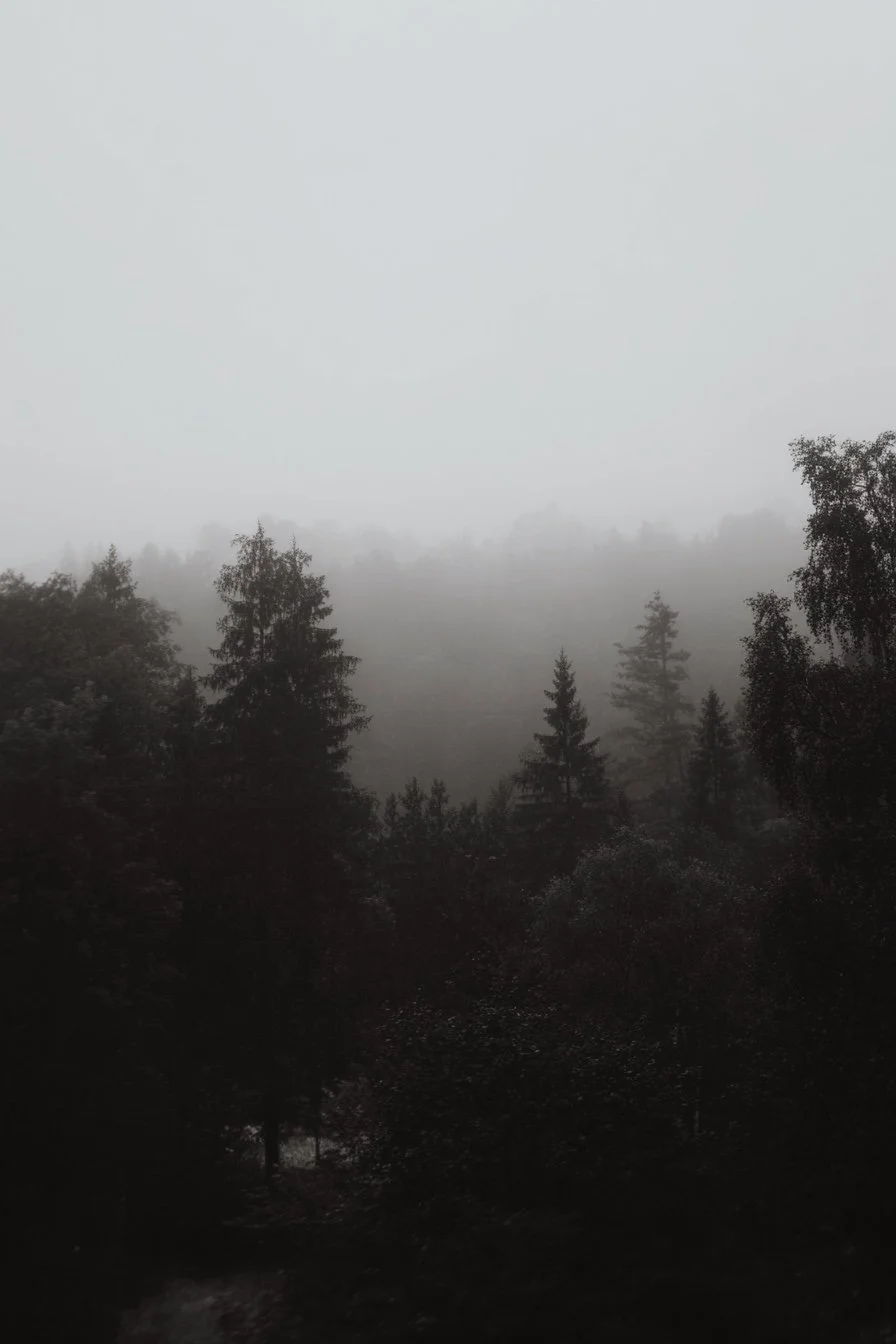 1C73495E-4ECA-4631-AE82-8B047C512B5E.jpeg