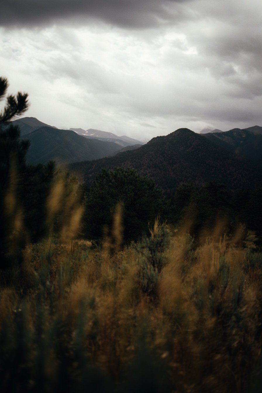 688286BD-F7CE-44BB-AAA1-9375AEA0DF4A.jpeg