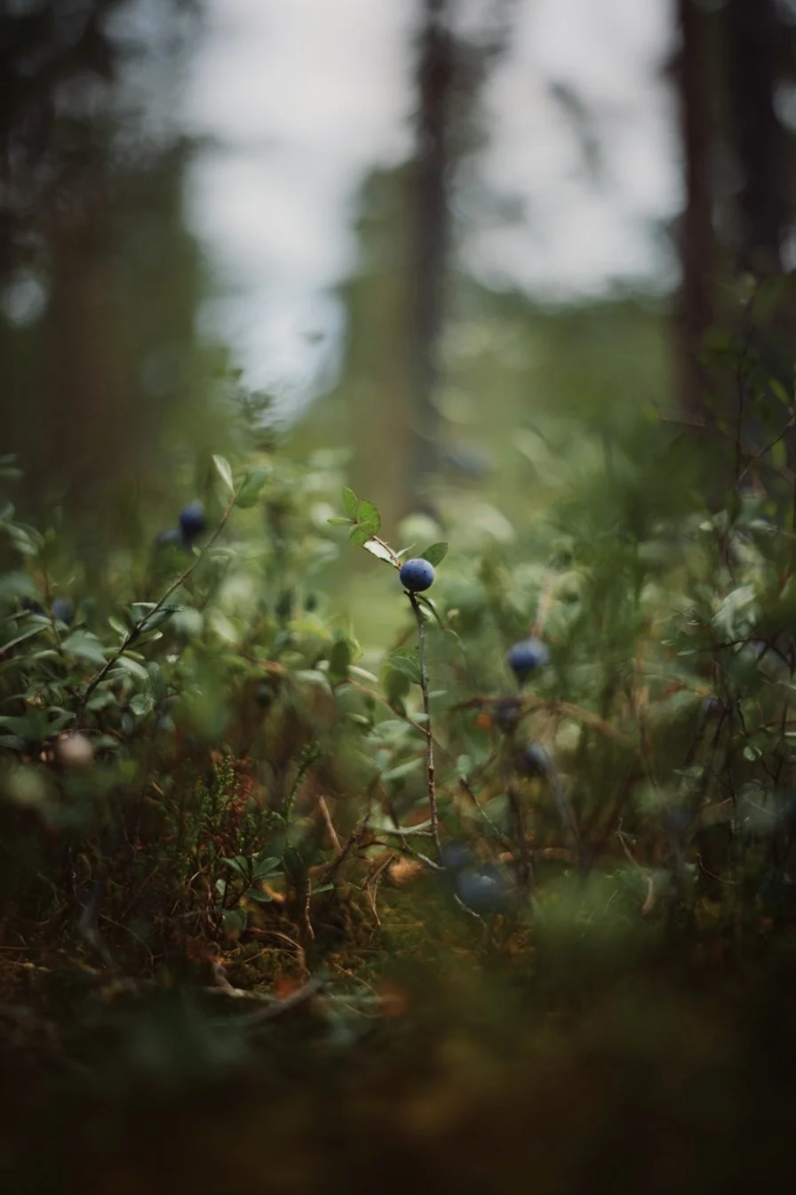 F18E77AB-1F13-41DC-B899-EC678BD4B47F.jpeg