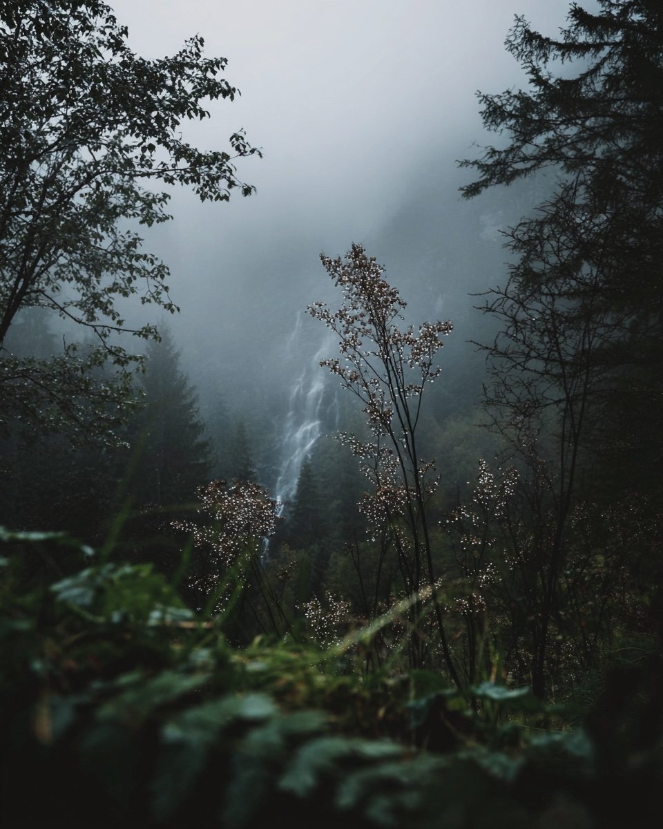 6C3F7474-C406-4F76-B684-A2E95B817680.jpeg