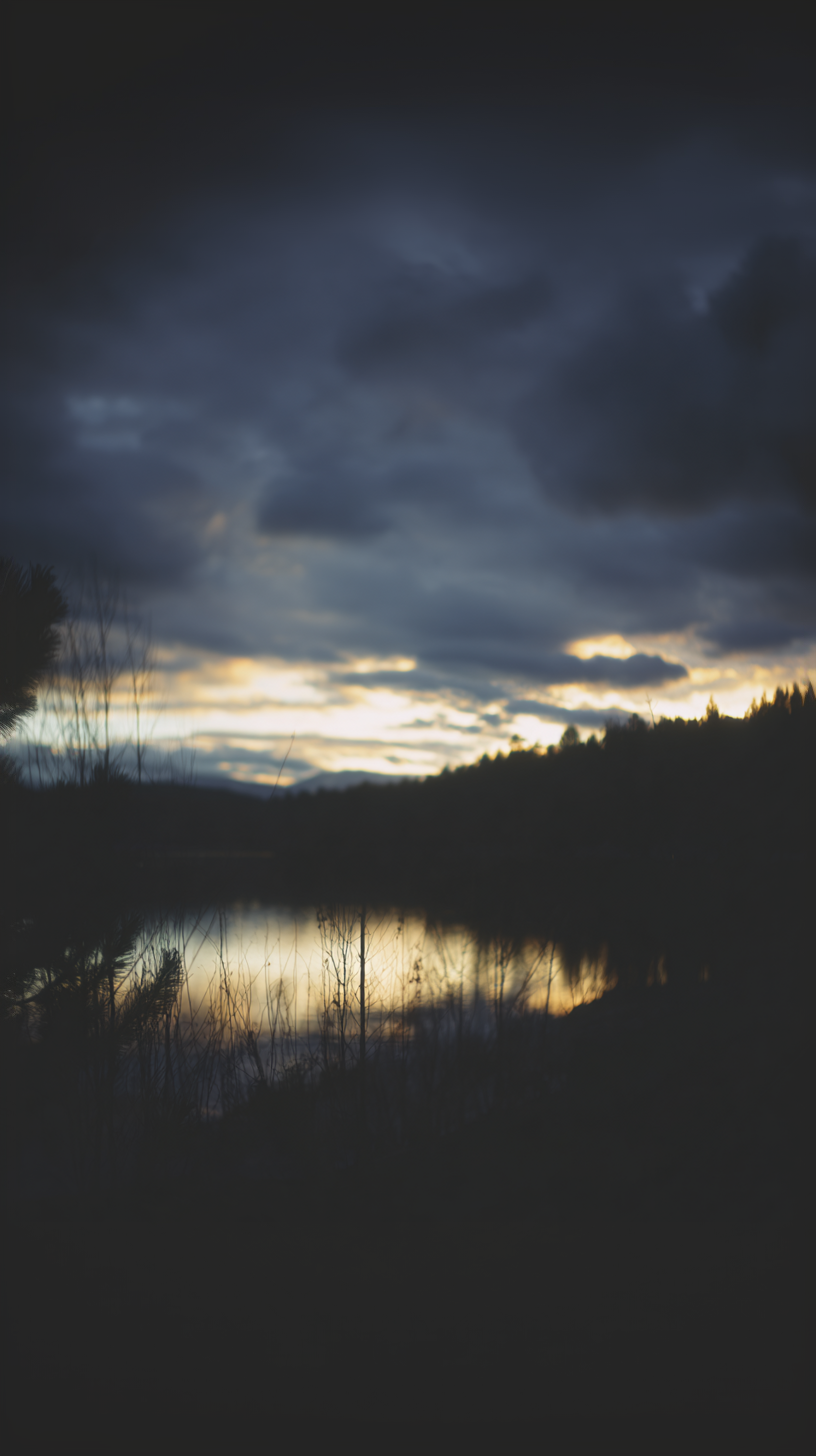IMG_5339.png