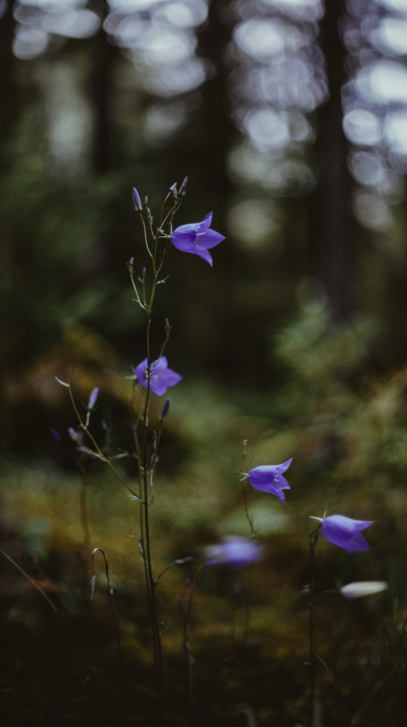 IMG_5287.png