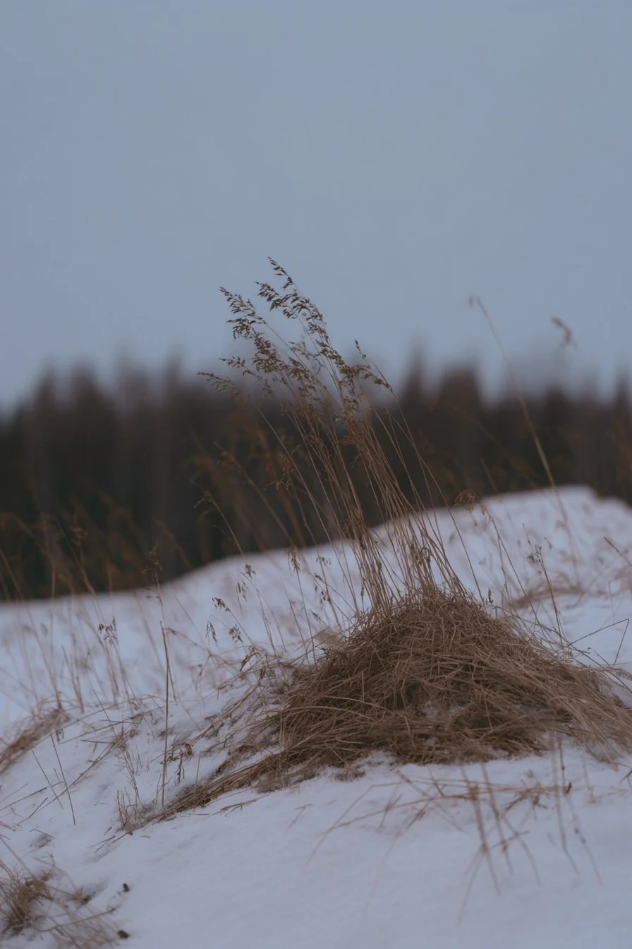 B6048A52-37BD-4AB1-899B-BF649A5C09A5.jpeg
