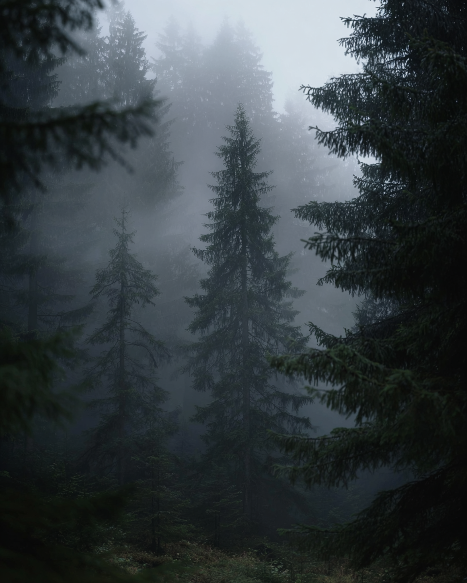 IMG_2042.png