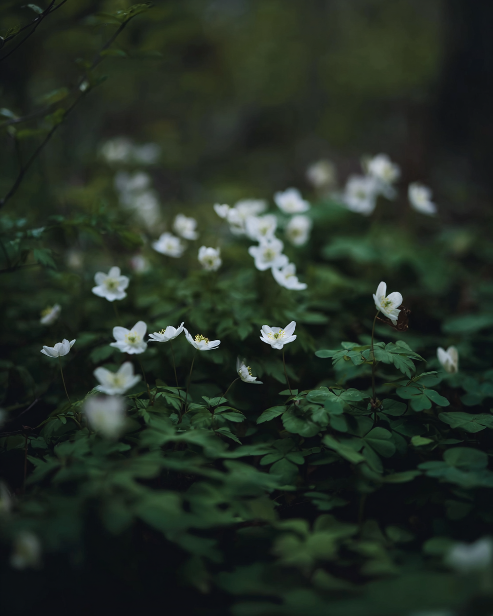 IMG_2043.png