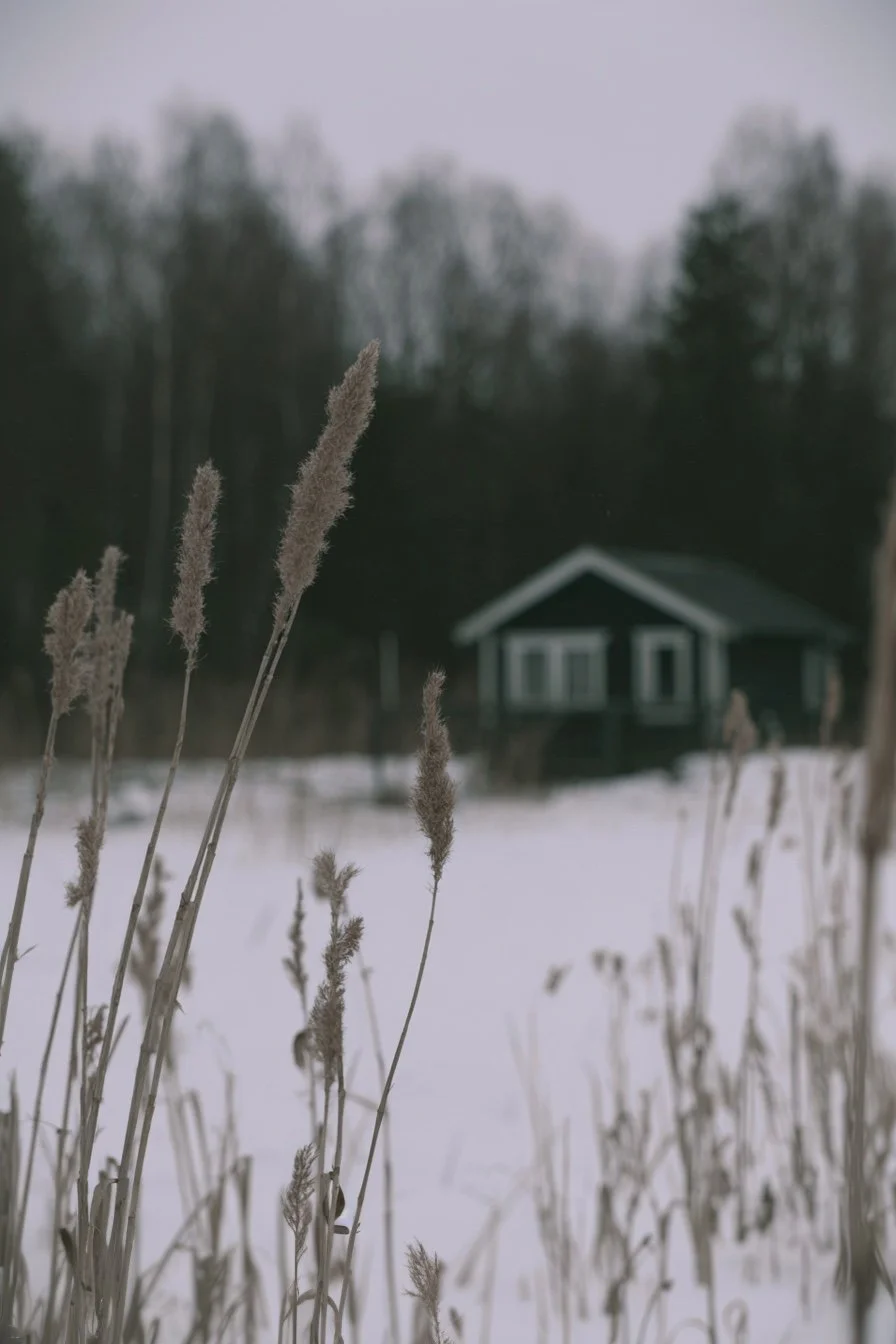 1C68C890-9E99-466F-B5AE-FD55CACE2731.jpeg