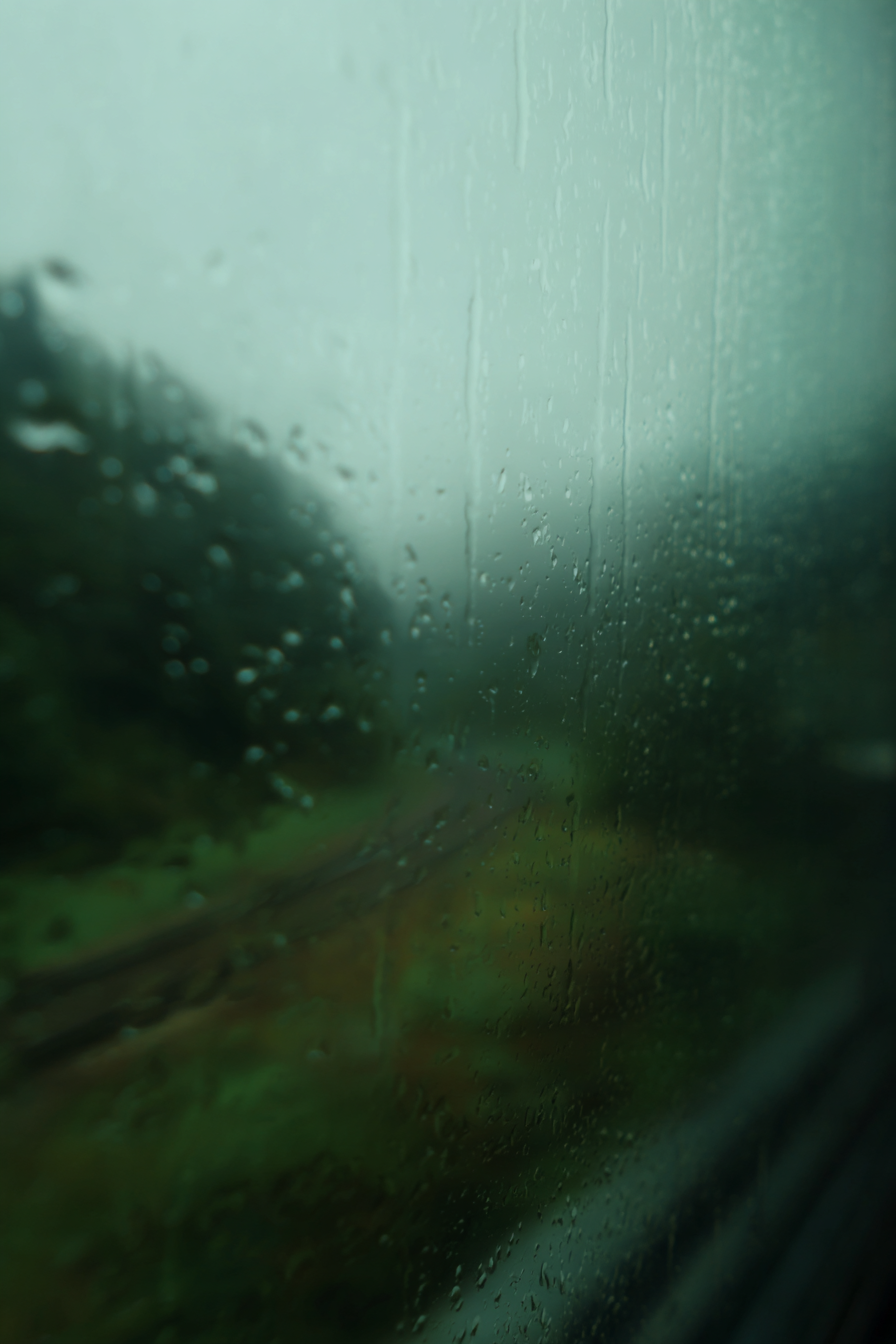 IMG_1278.png