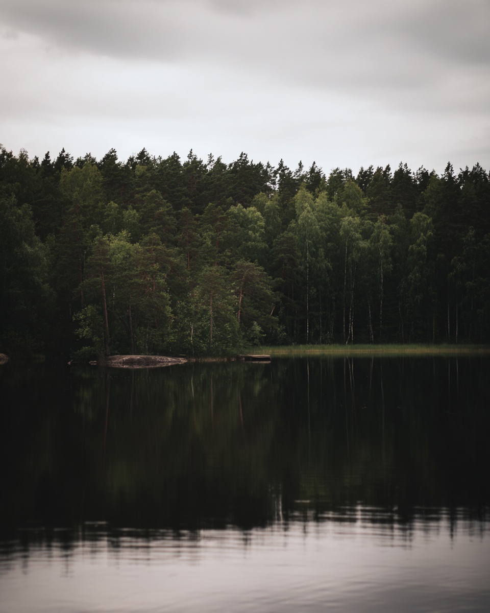 IMG_3897.png