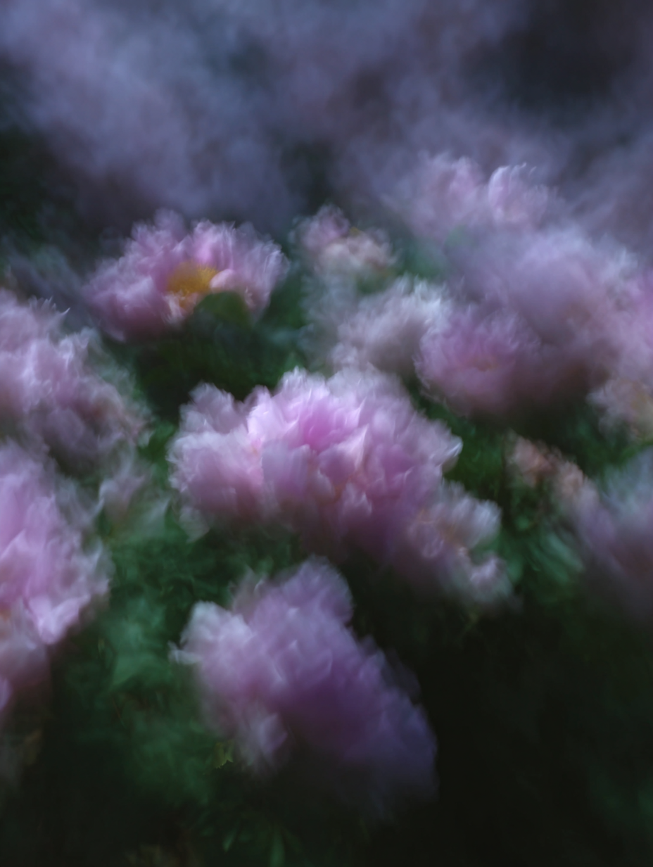 IMG_9197.png