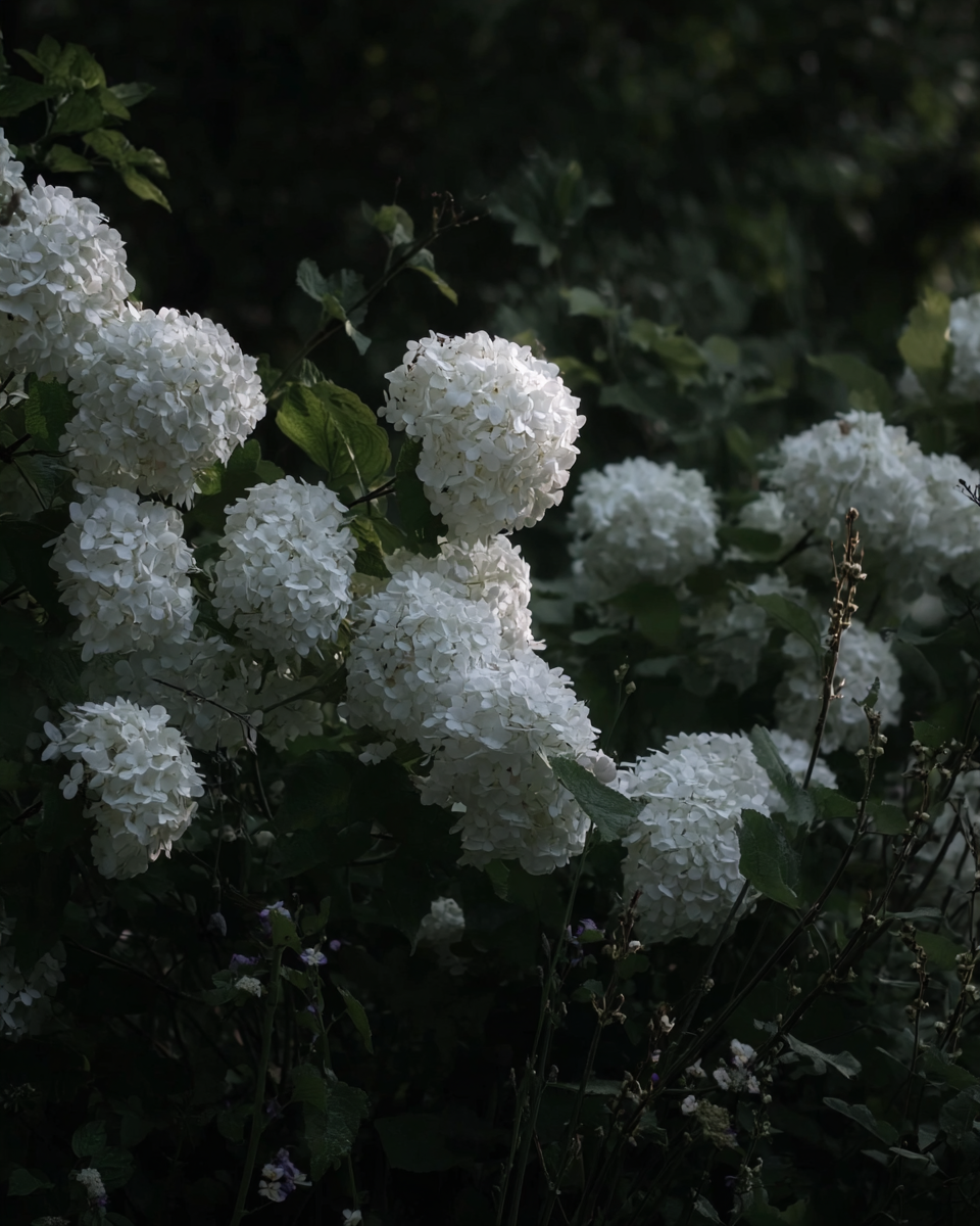 IMG_1728.png