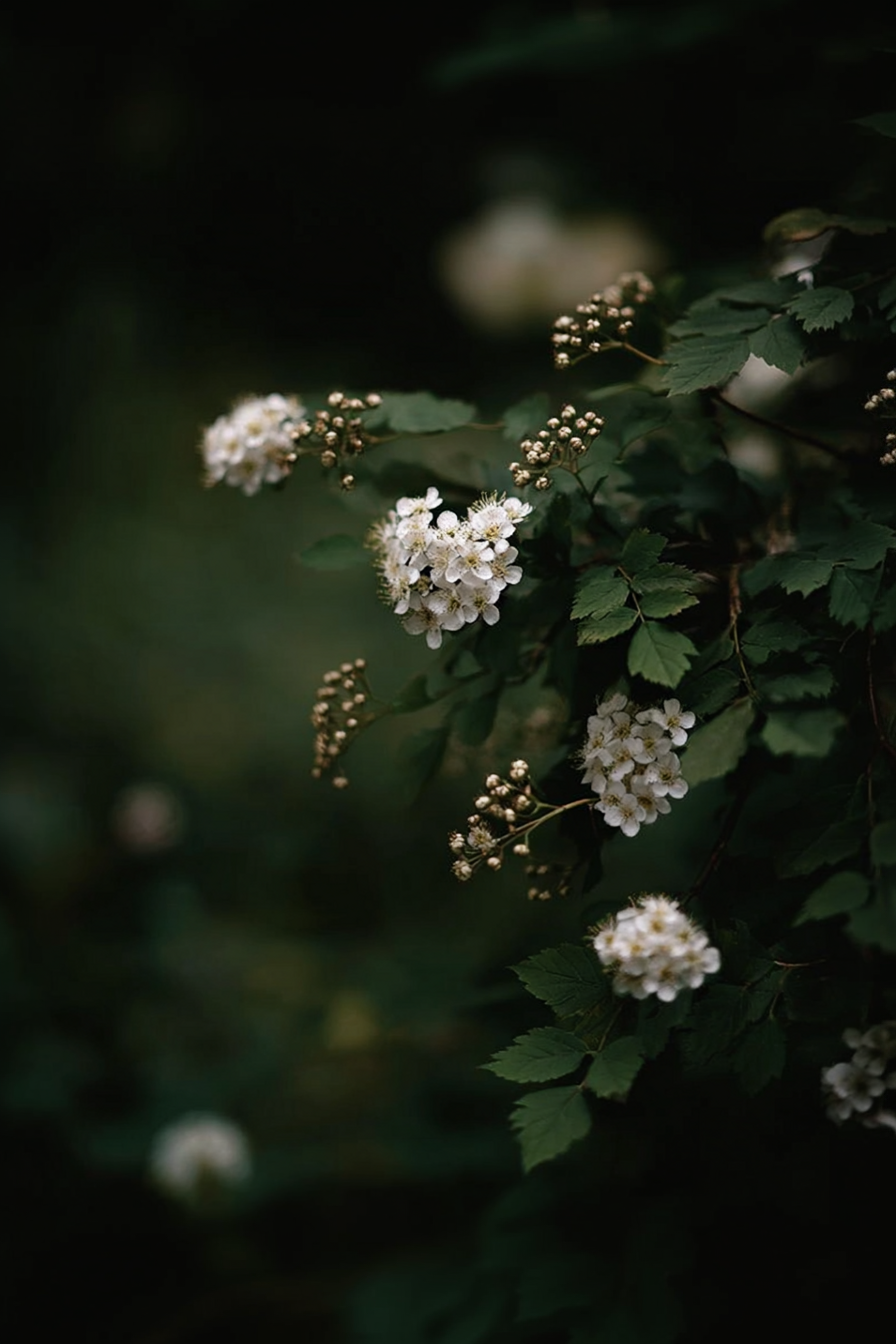 IMG_2602.png