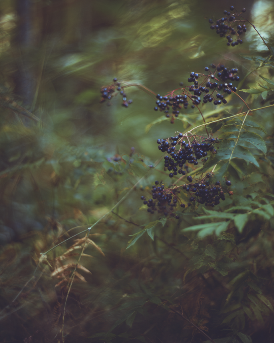 IMG_5386.png