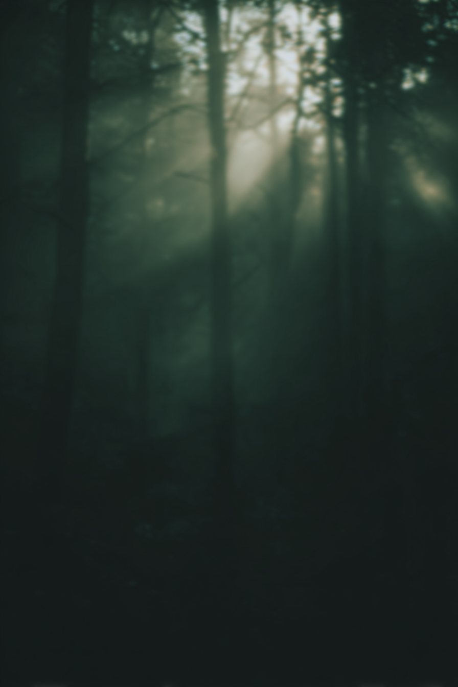 IMG_1668.png