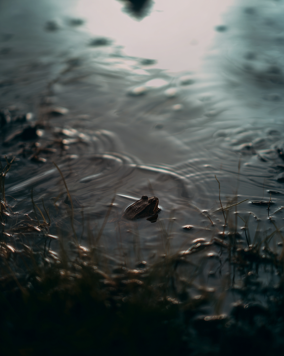 IMG_3824.png