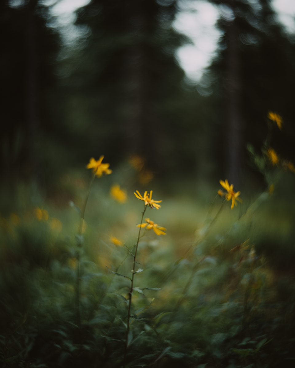 IMG_4055.png