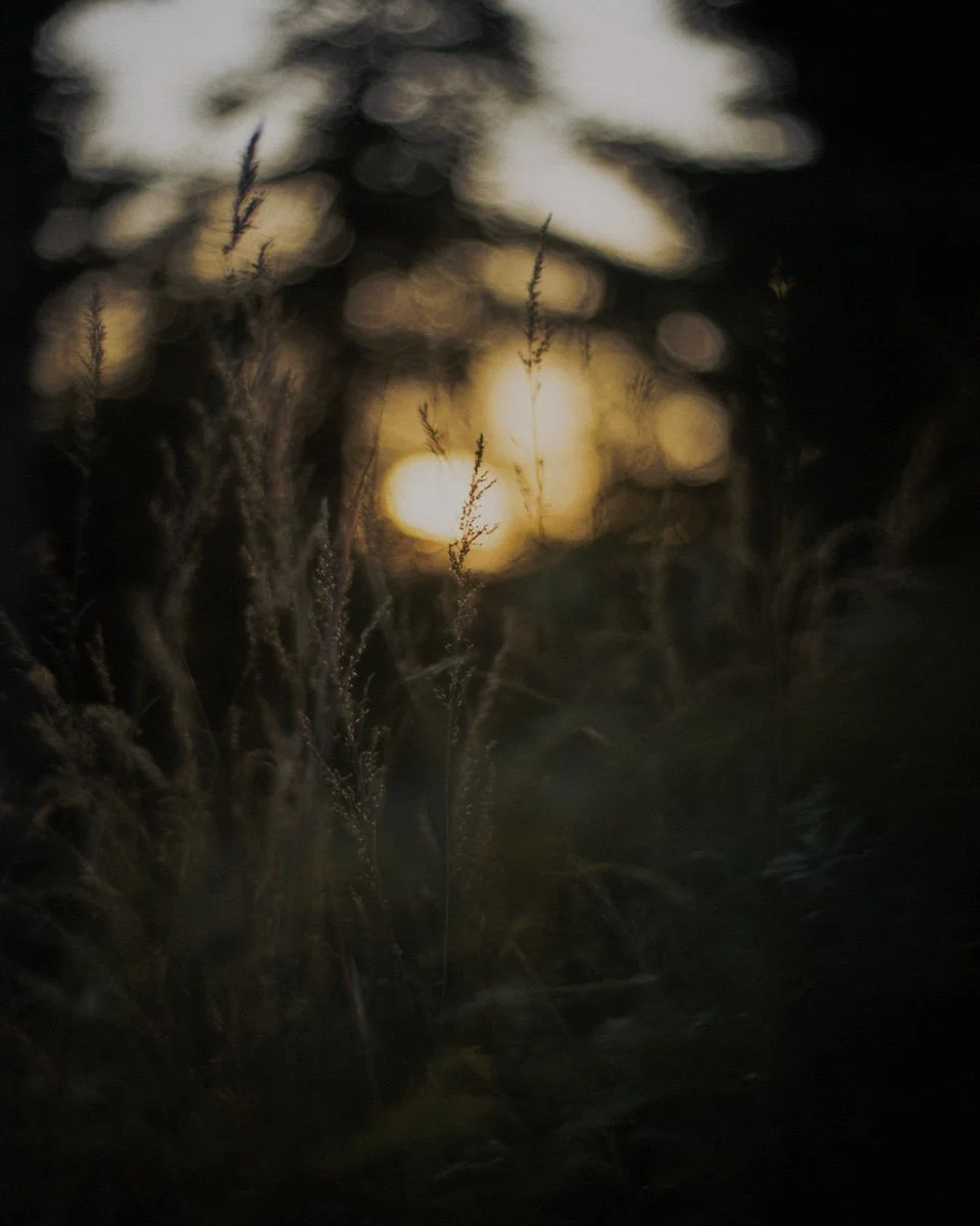 FF0B9B5A-7A53-44D4-B15D-A8E537AF059F.jpeg