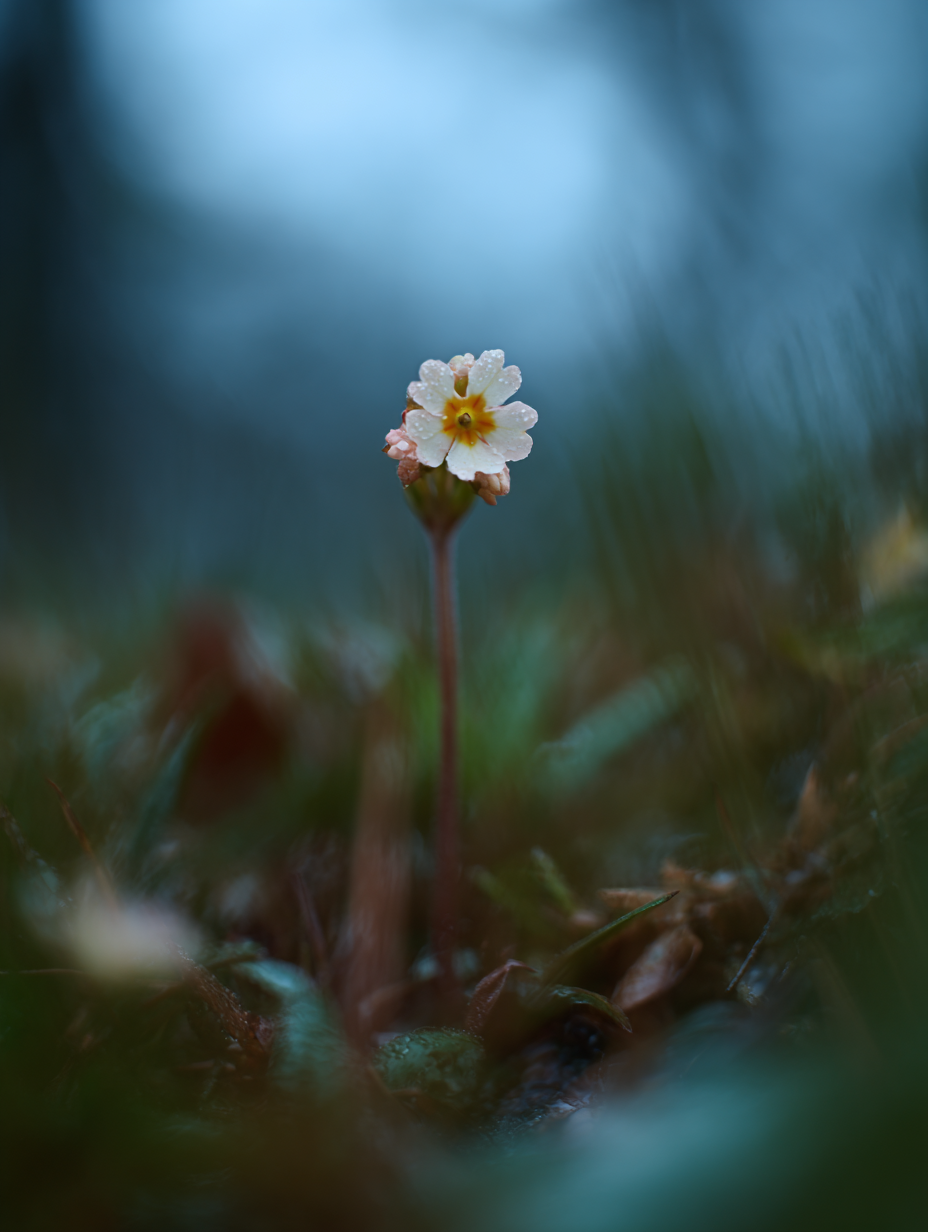 IMG_8524.png