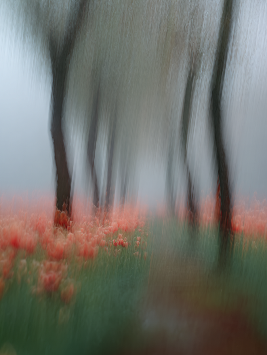 IMG_7854.png