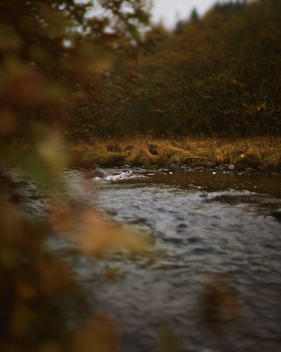 IMG_5029.png